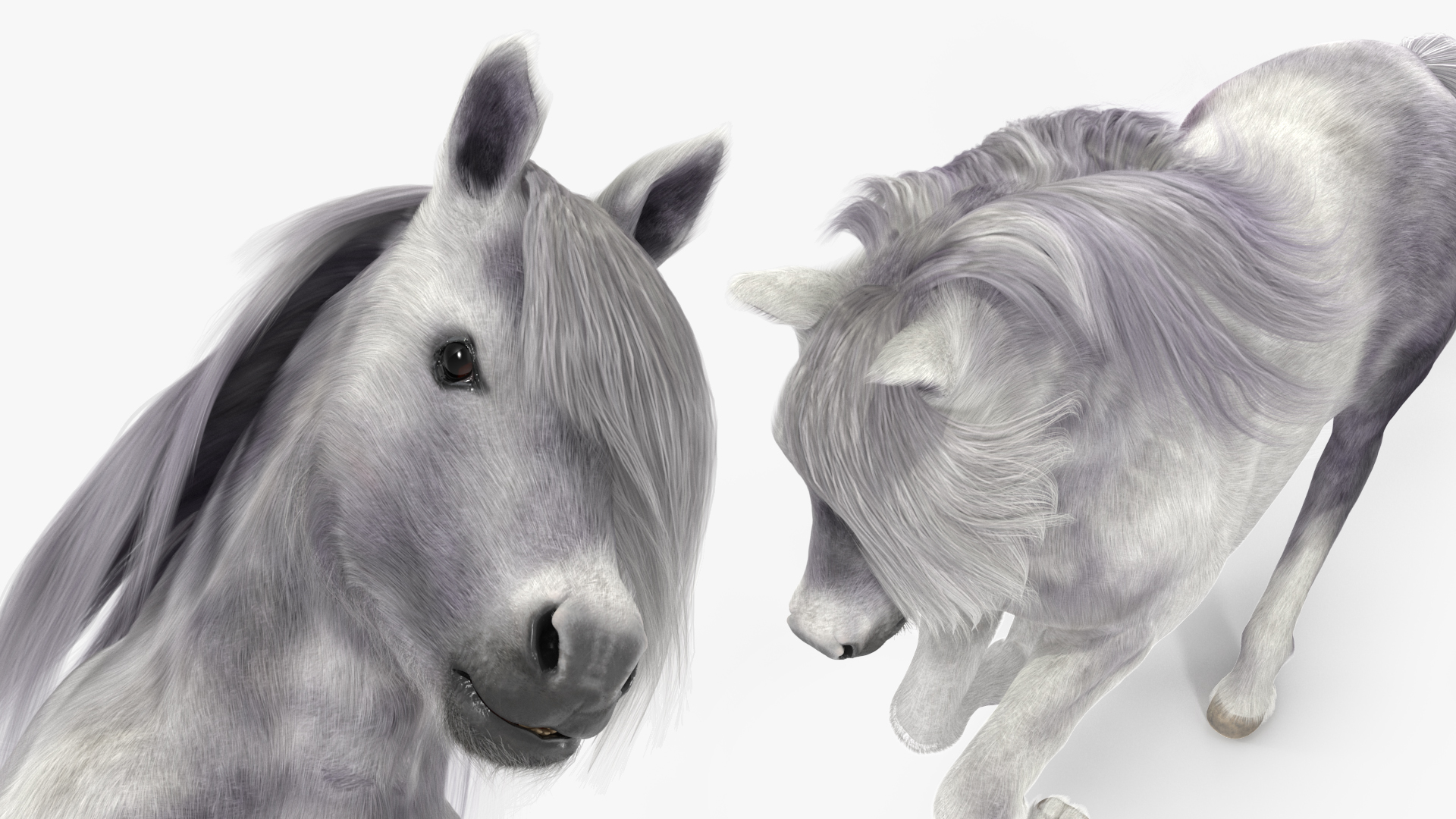 Galloping White Pony with Long Mane Fur 3D model