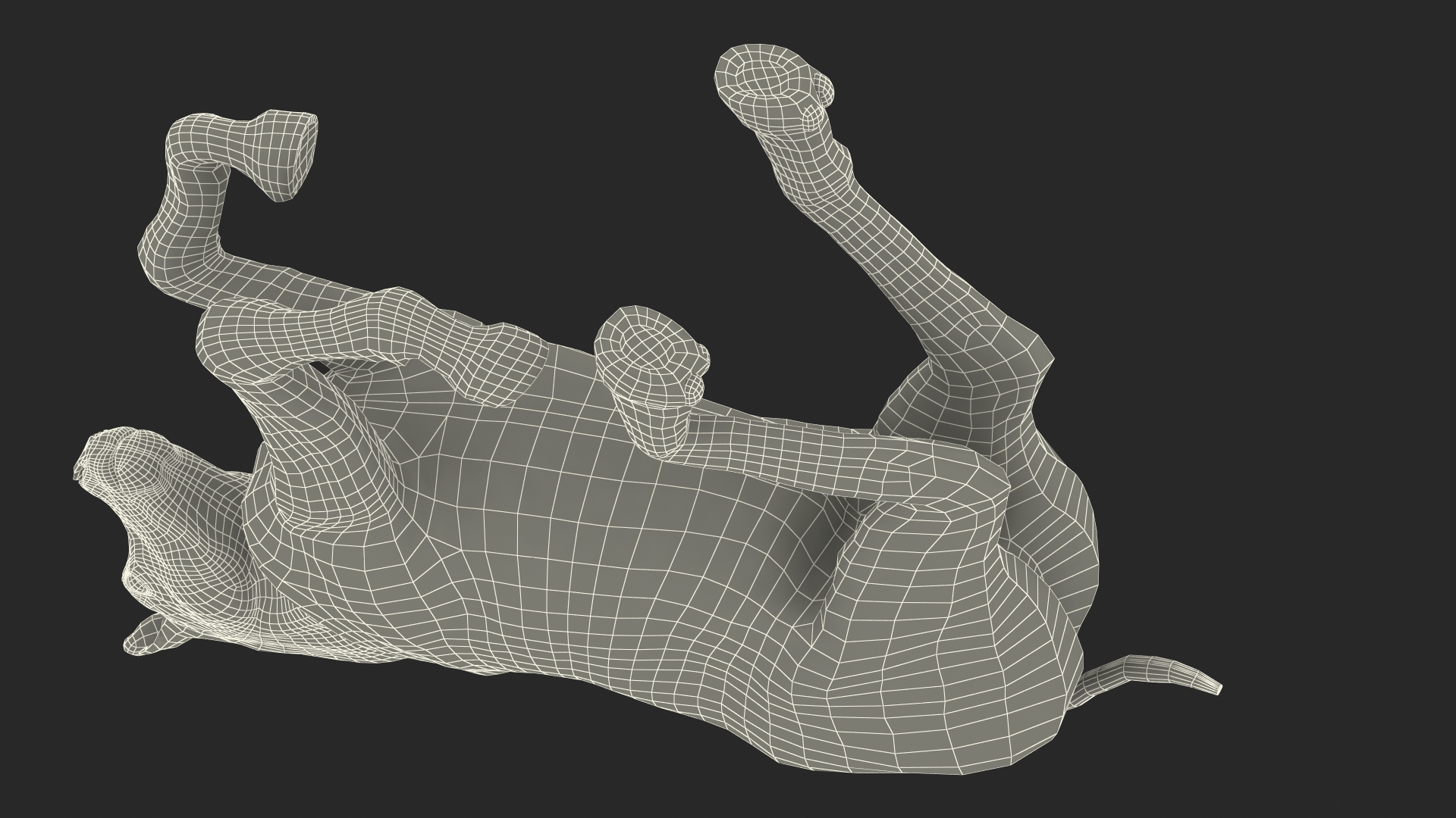 Galloping White Pony with Long Mane Fur 3D model
