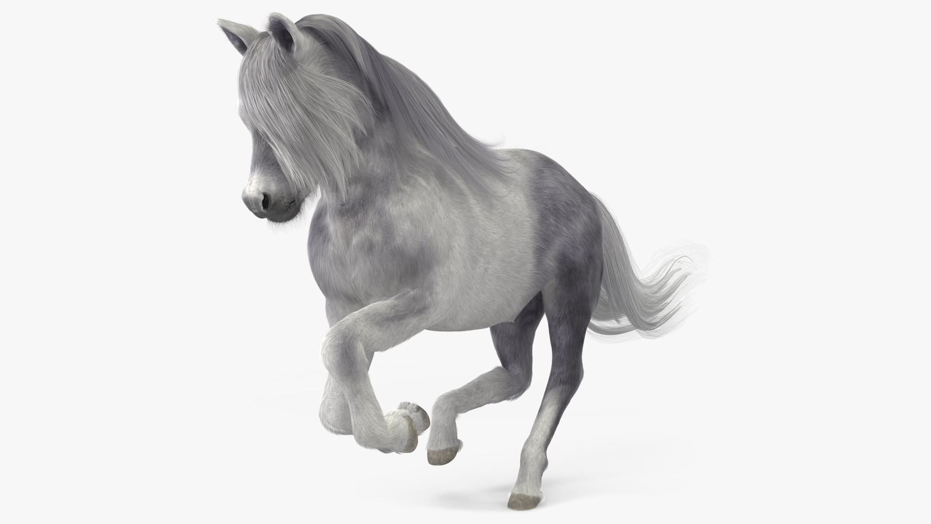 Galloping White Pony with Long Mane Fur 3D model