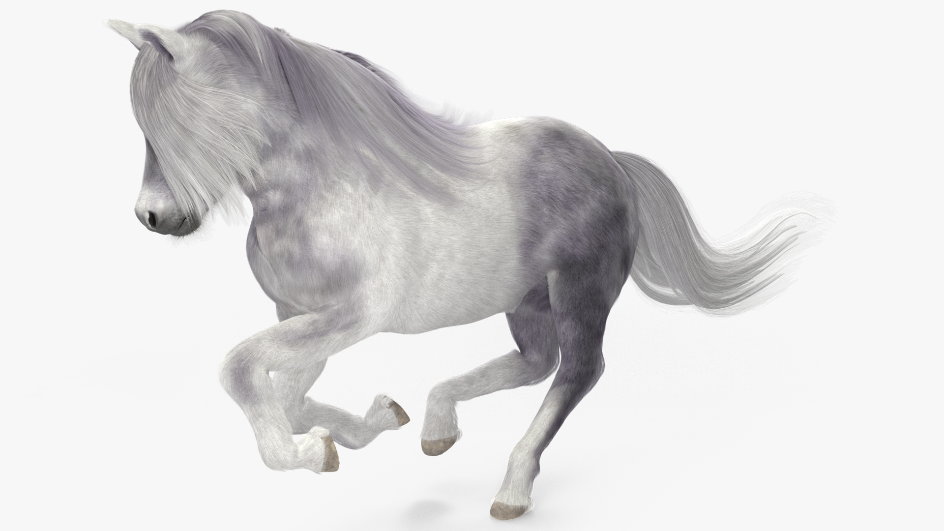 Galloping White Pony with Long Mane Fur 3D model