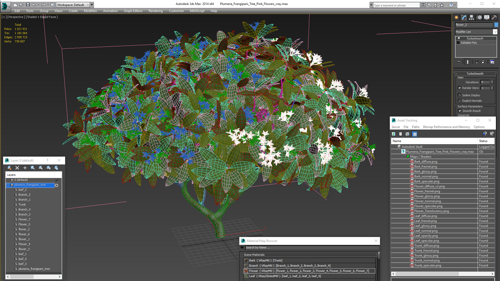 Plumeria Frangipani Tree Pink Flowers 3D