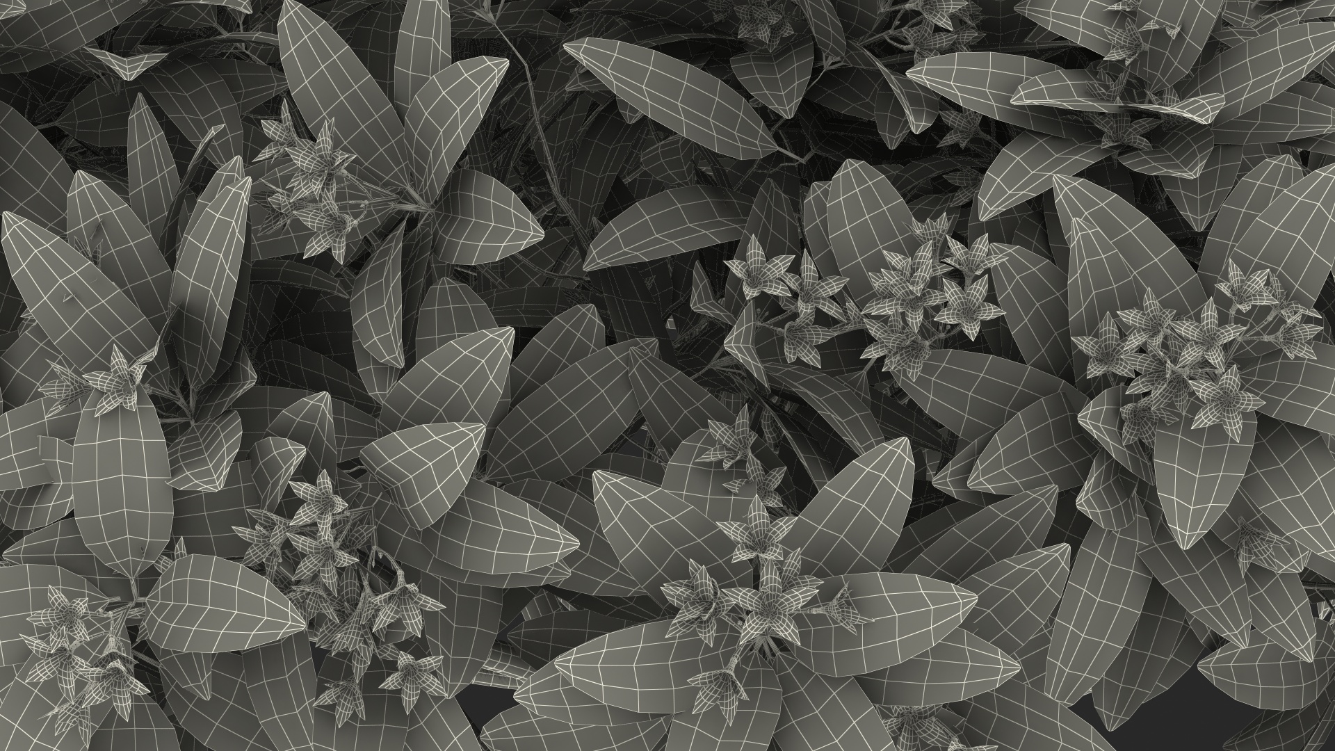 Plumeria Frangipani Tree Pink Flowers 3D