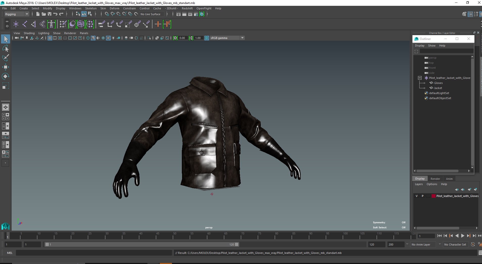 Pilot leather Jacket with Gloves 3D