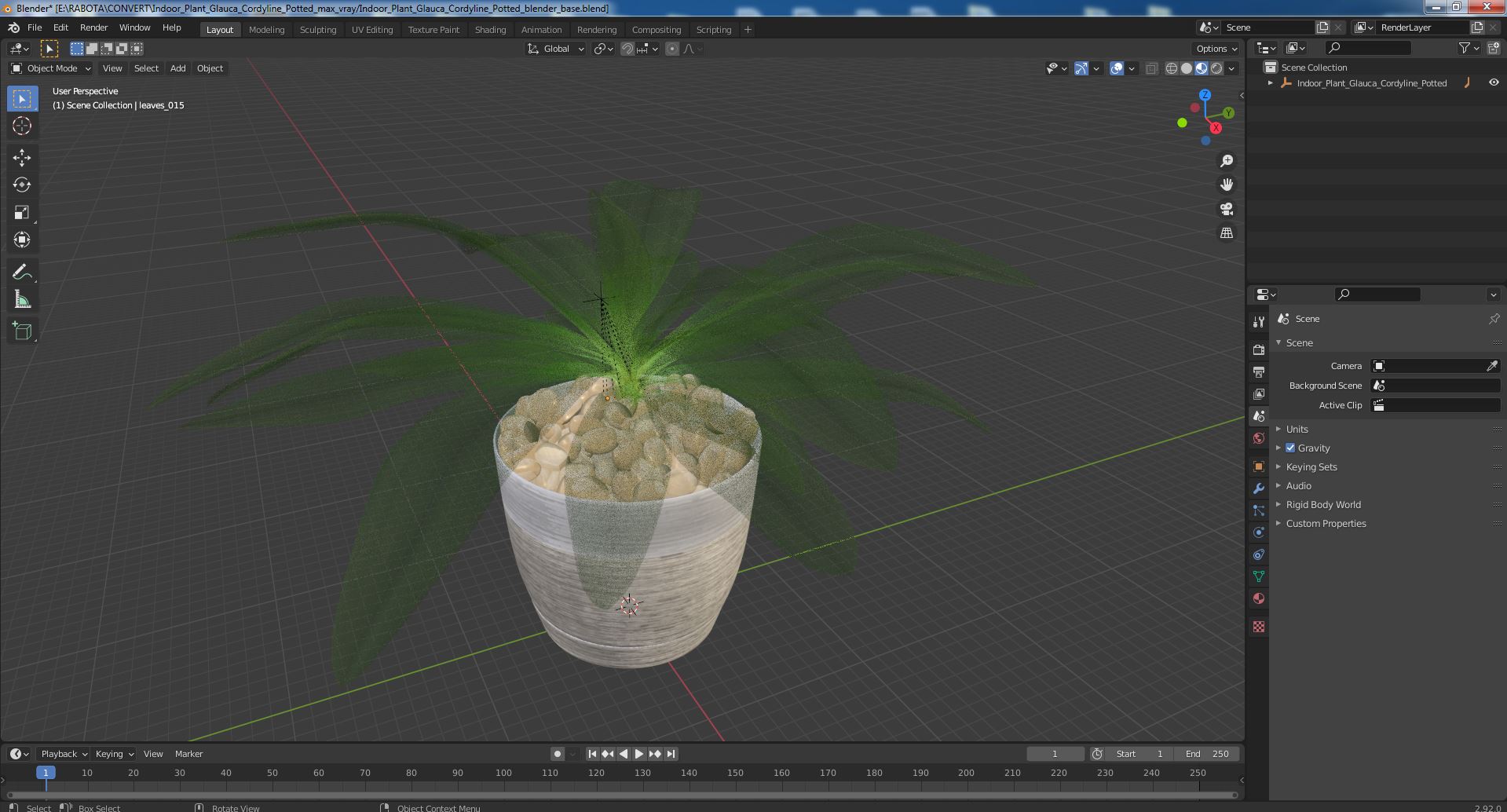 3D Indoor Plant Glauca Cordyline Potted