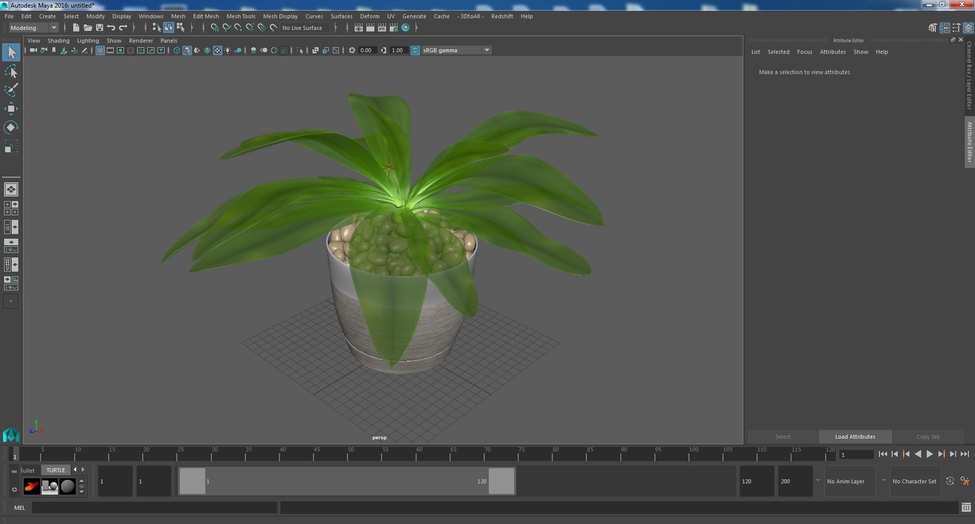 3D Indoor Plant Glauca Cordyline Potted