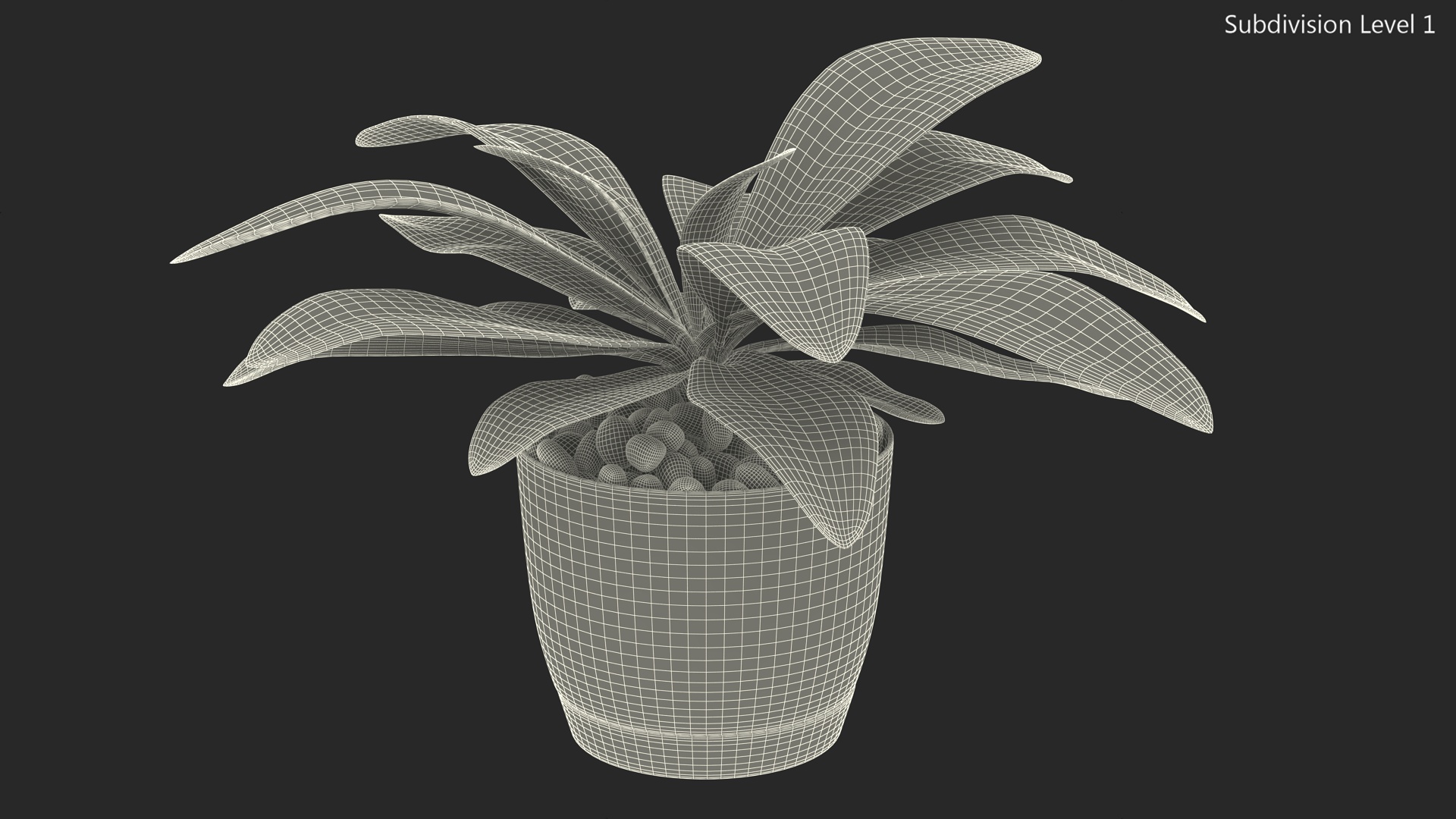 3D Indoor Plant Glauca Cordyline Potted