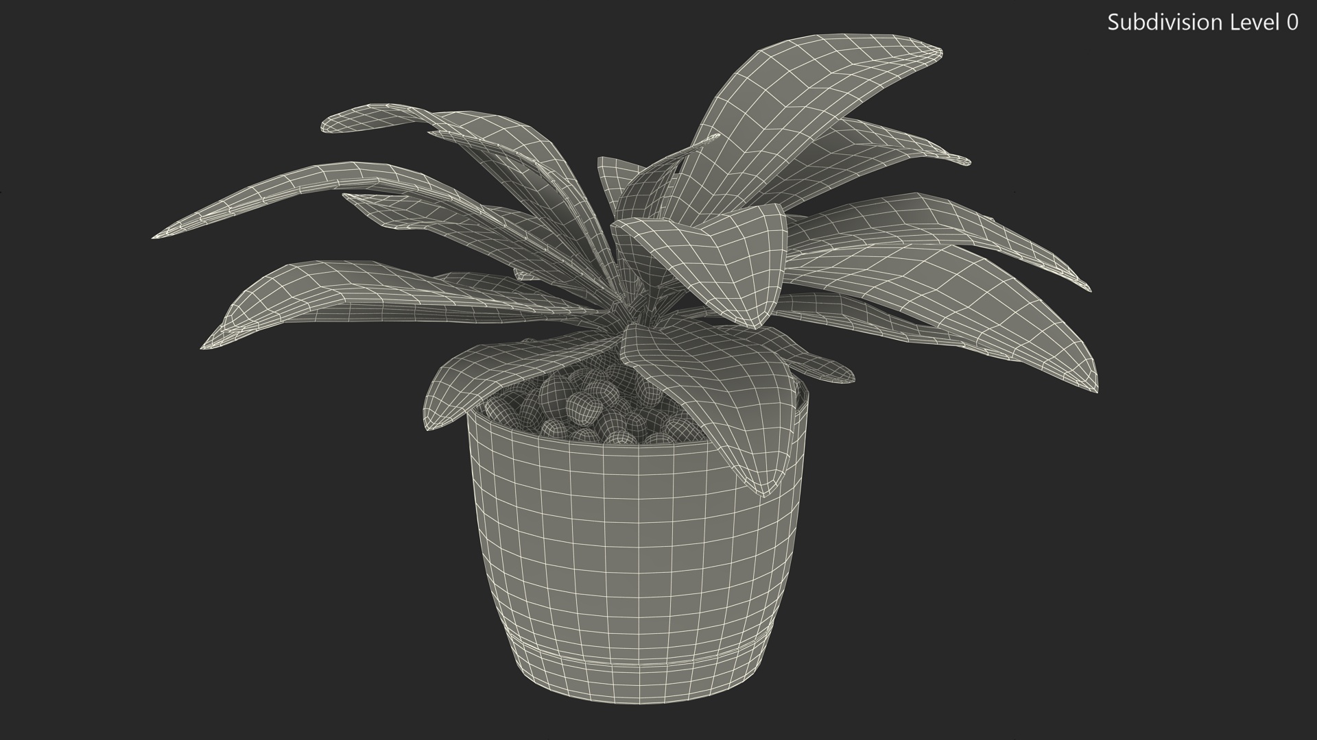 3D Indoor Plant Glauca Cordyline Potted