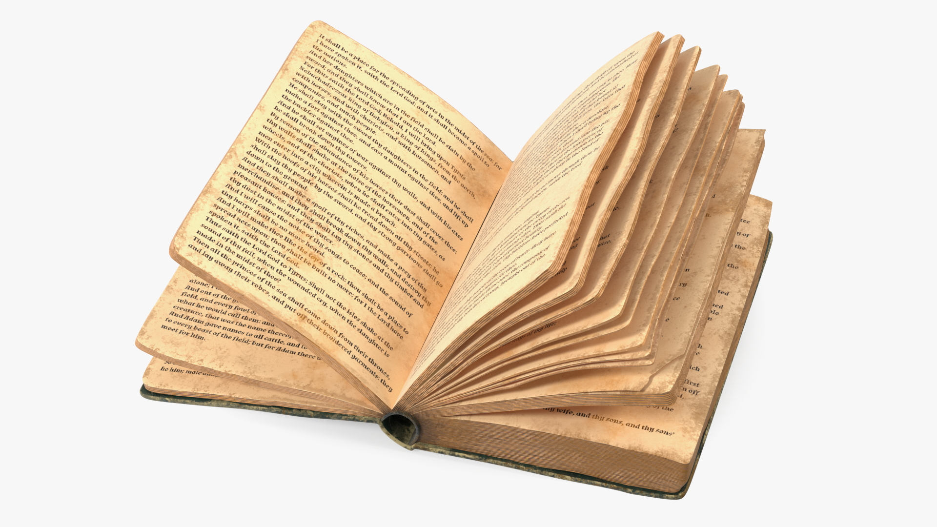 3D Half-Opened Clean Old Book