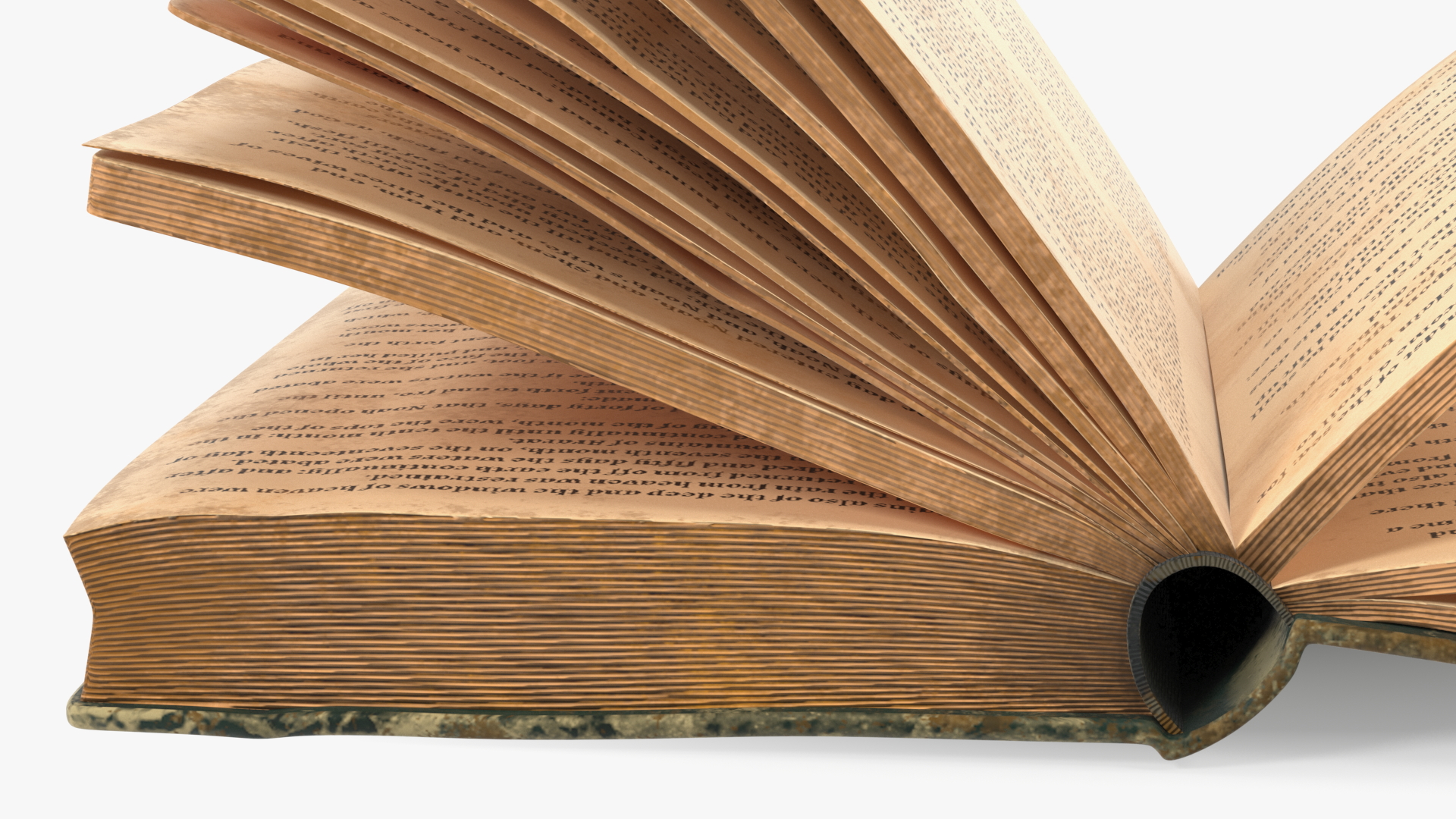 3D Half-Opened Clean Old Book