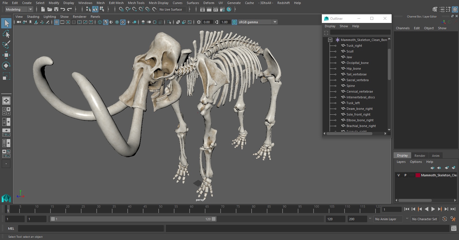 3D Mammoth Skeleton Clean Bones model