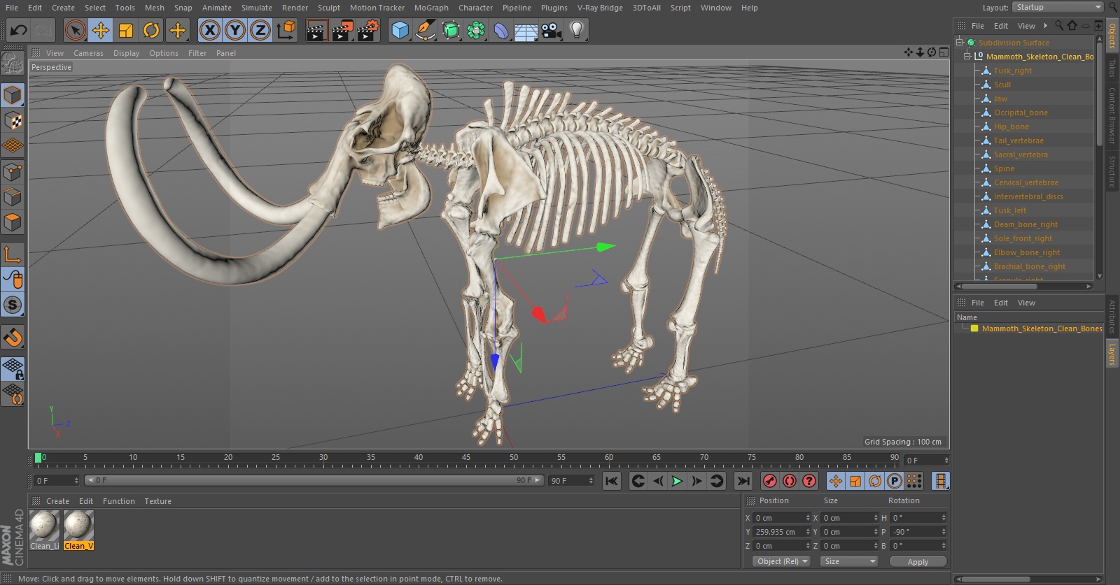 3D Mammoth Skeleton Clean Bones model