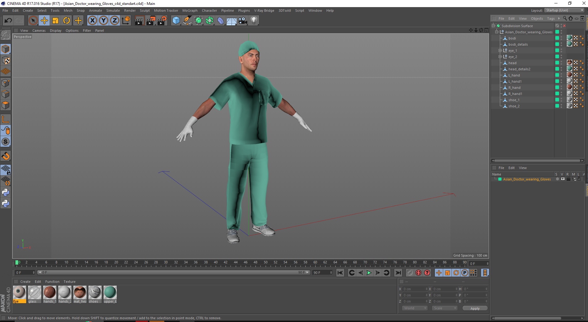 Asian Doctor wearing Gloves 3D