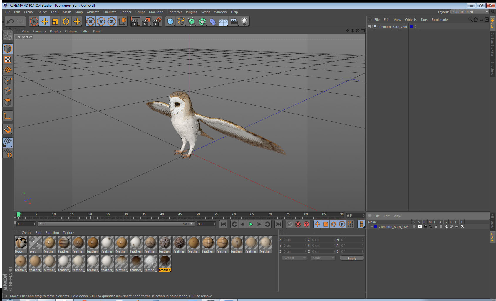 3D model Common Barn Owl
