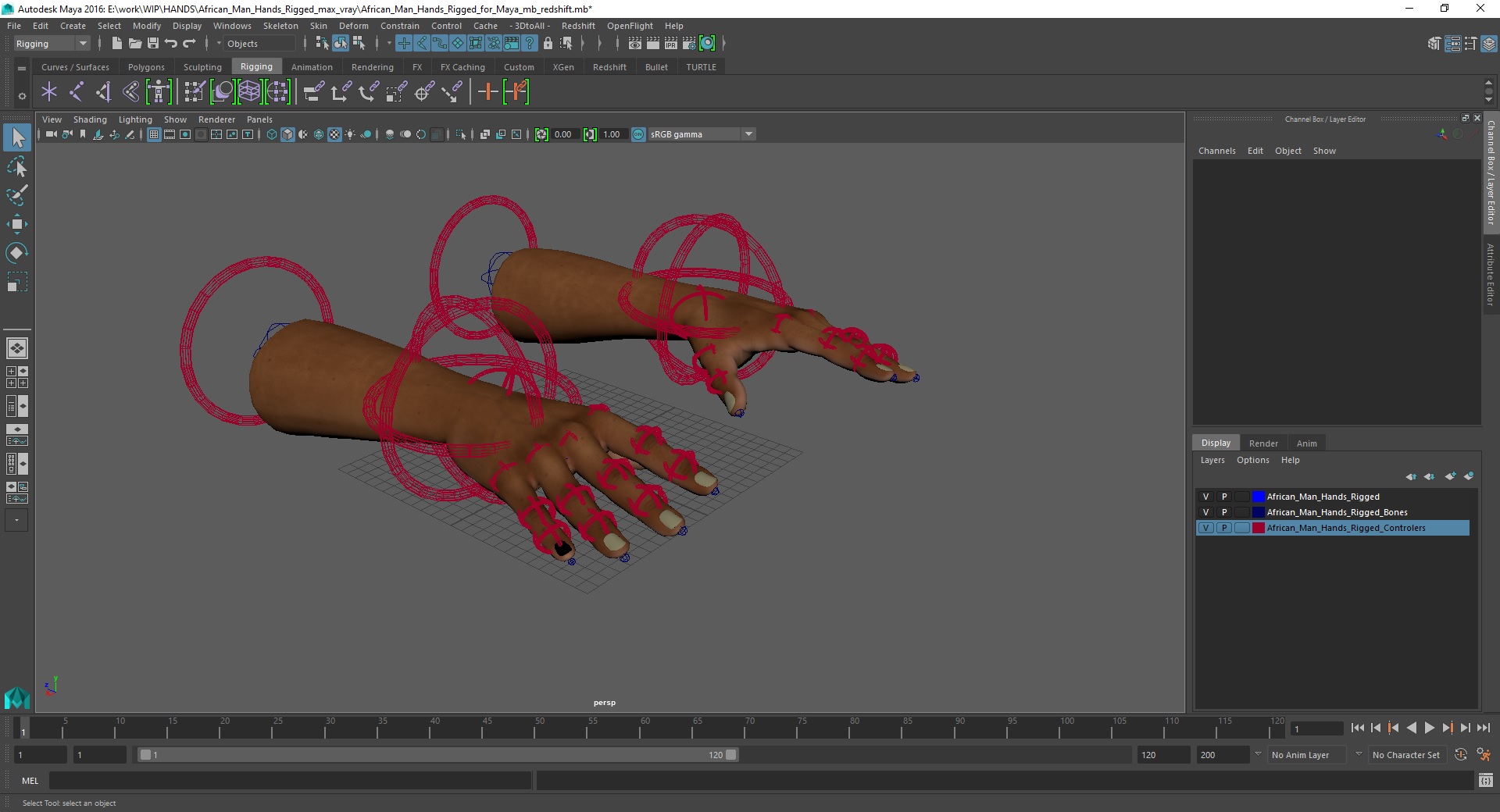 3D African Man Hands Rigged for Maya model