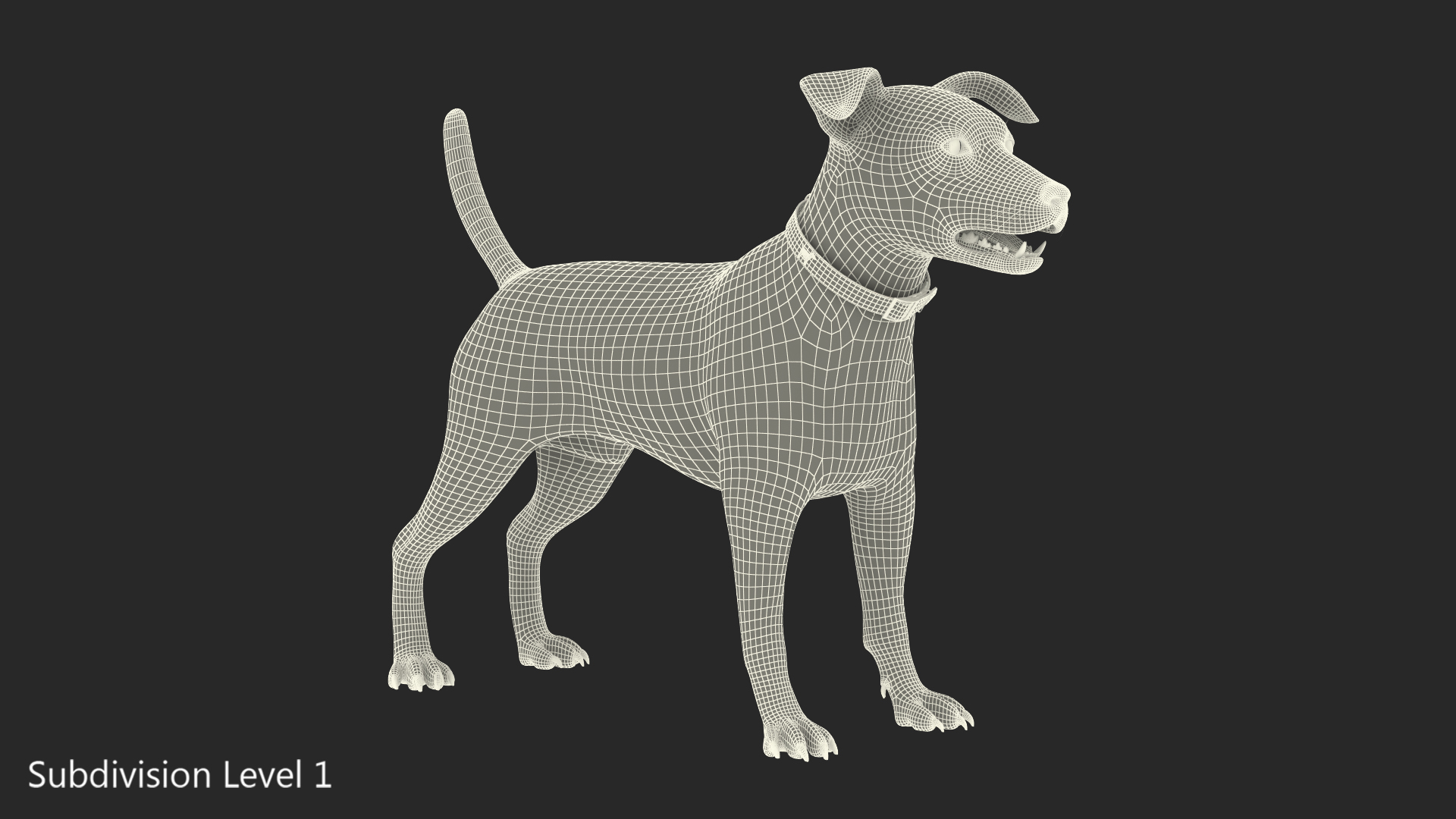 White Jack Russell Terrier Fur Rigged 3D