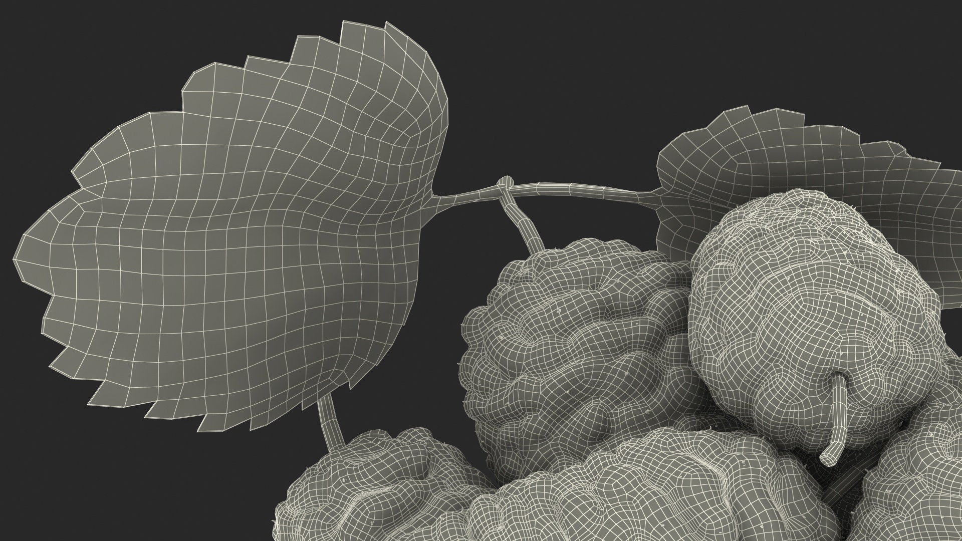 3D Pile of Mulberry Fruit White model
