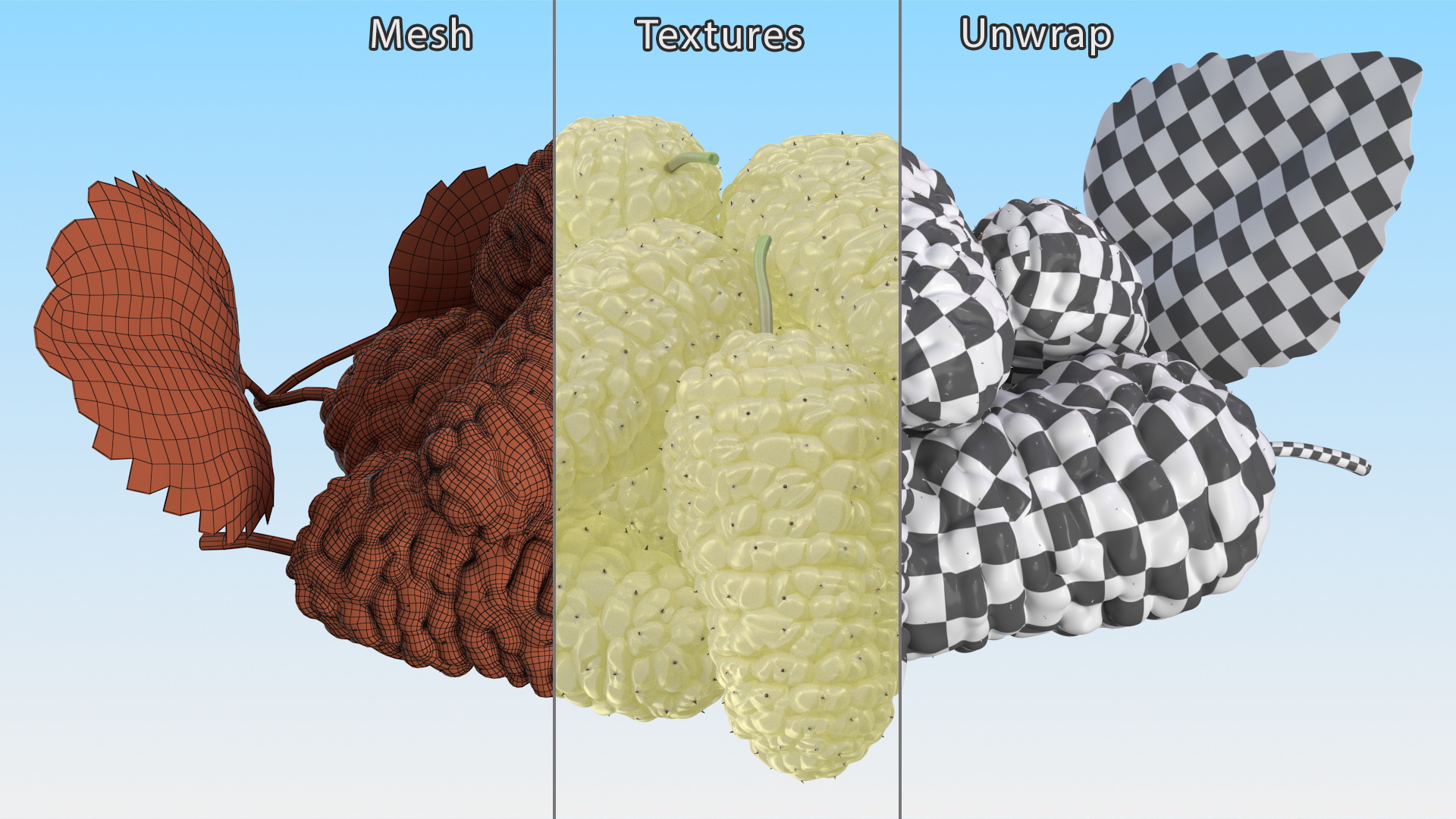 3D Pile of Mulberry Fruit White model