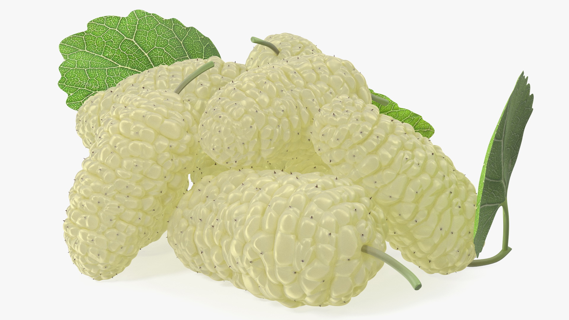 3D Pile of Mulberry Fruit White model