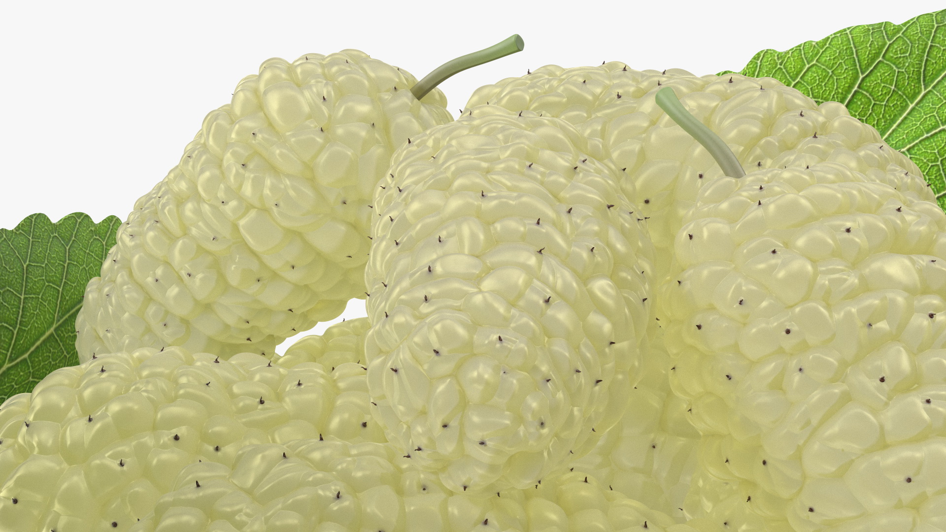 3D Pile of Mulberry Fruit White model