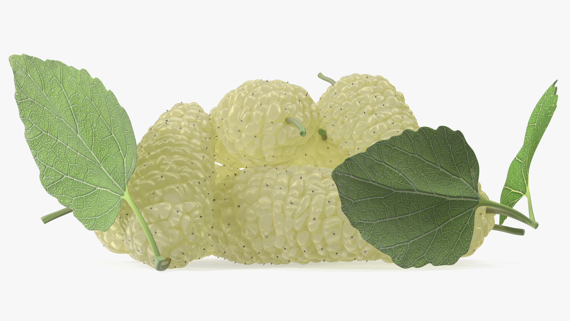 3D Pile of Mulberry Fruit White model