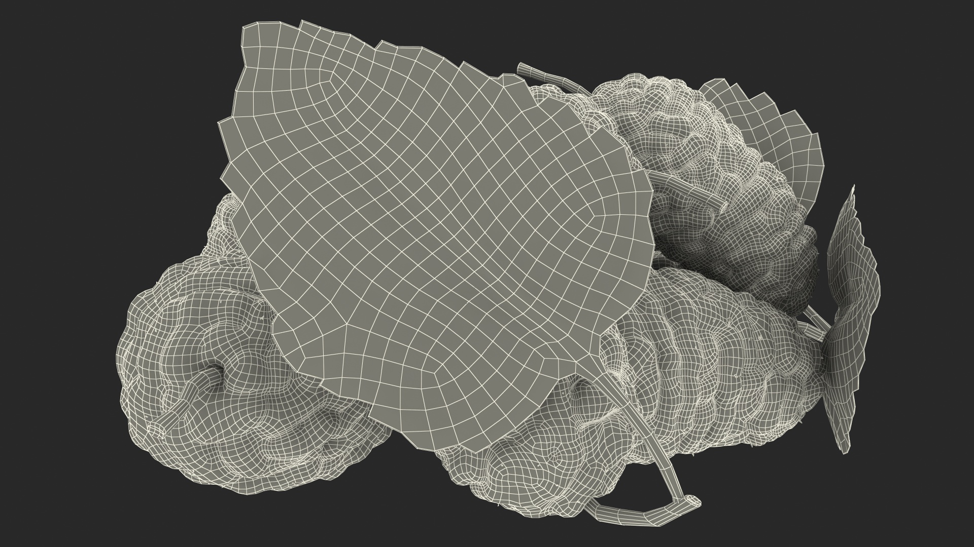 3D Pile of Mulberry Fruit White model