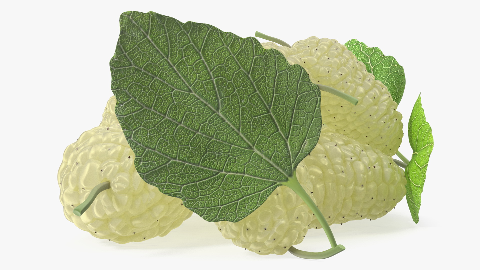 3D Pile of Mulberry Fruit White model