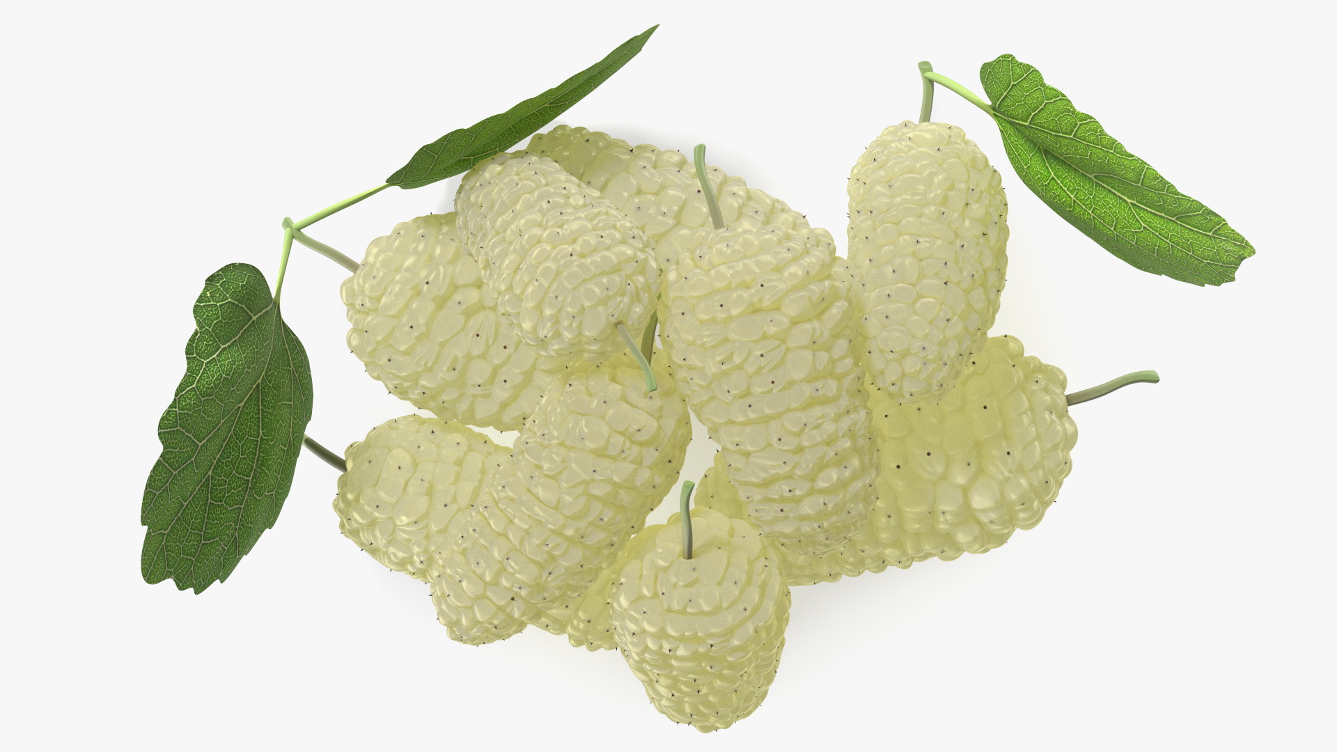 3D Pile of Mulberry Fruit White model