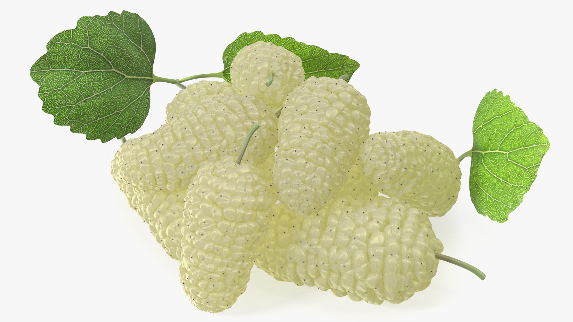 3D Pile of Mulberry Fruit White model