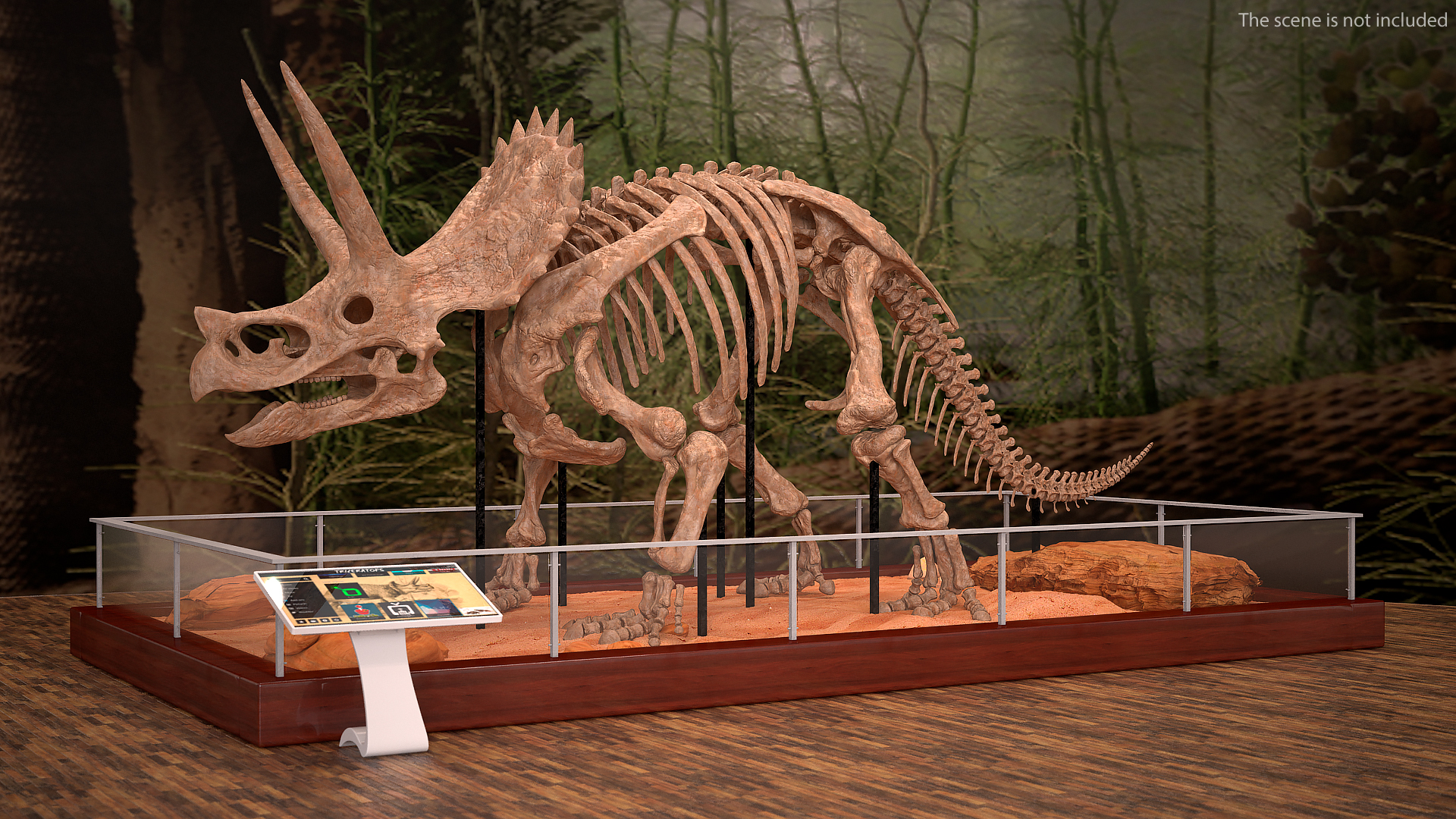 Triceratops Skeleton Fossil 3D