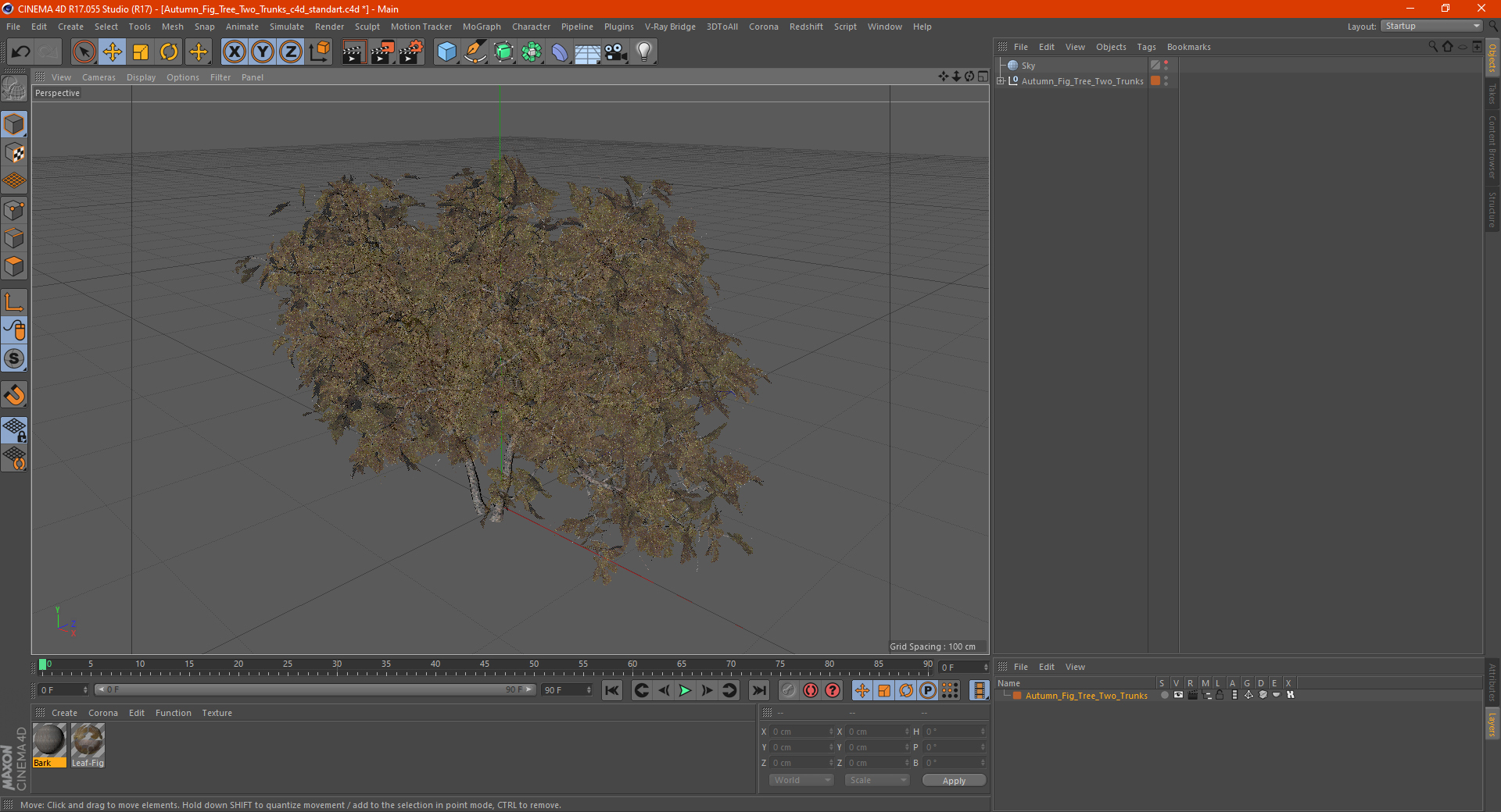 3D Autumn Fig Tree Two Trunks