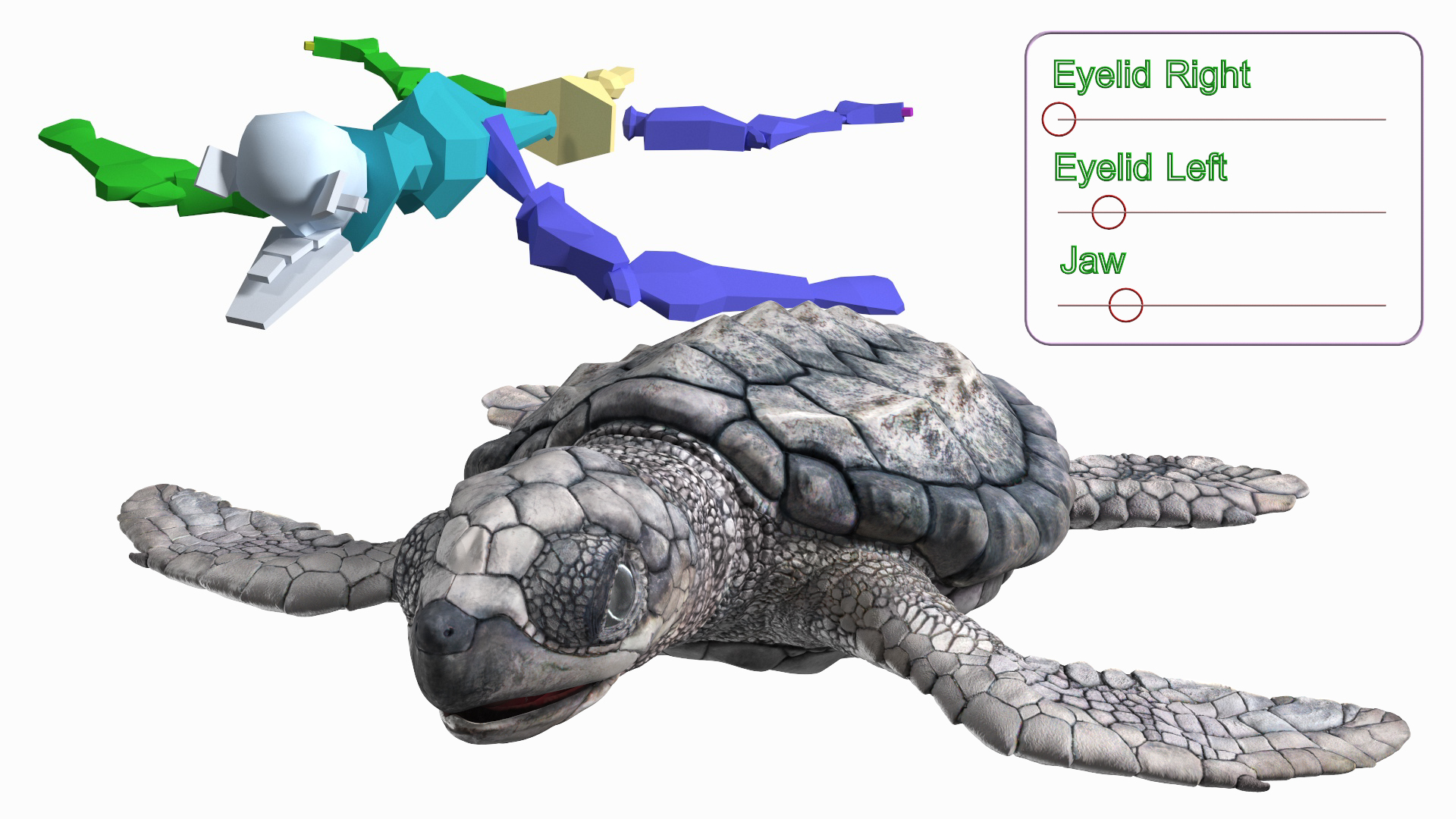 Baby Sea Turtle Gray Rigged 3D