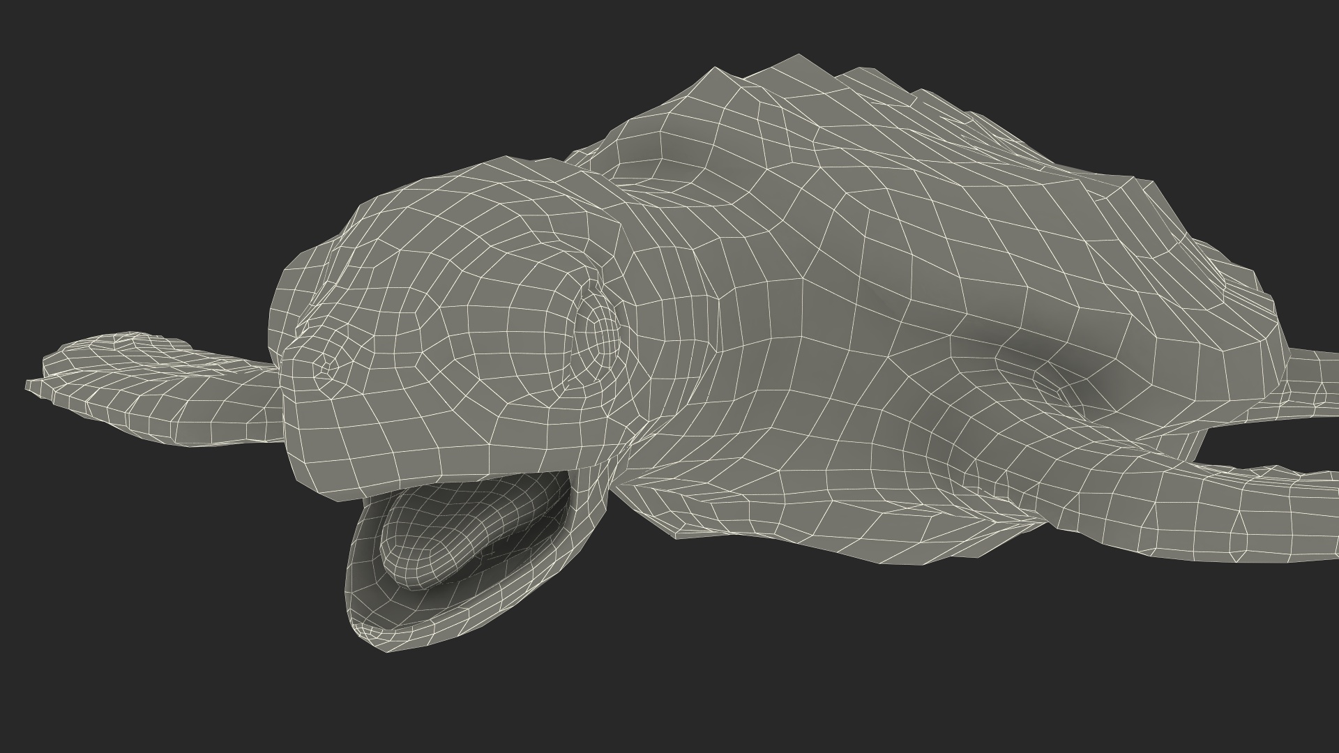 Baby Sea Turtle Gray Rigged 3D