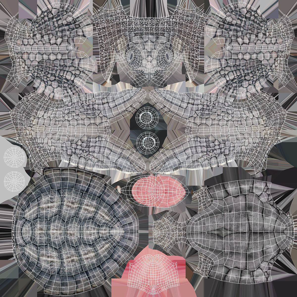 Baby Sea Turtle Gray Rigged 3D
