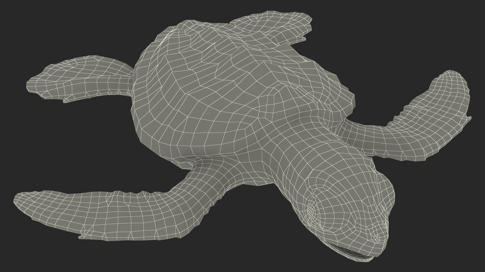 Baby Sea Turtle Gray Rigged 3D