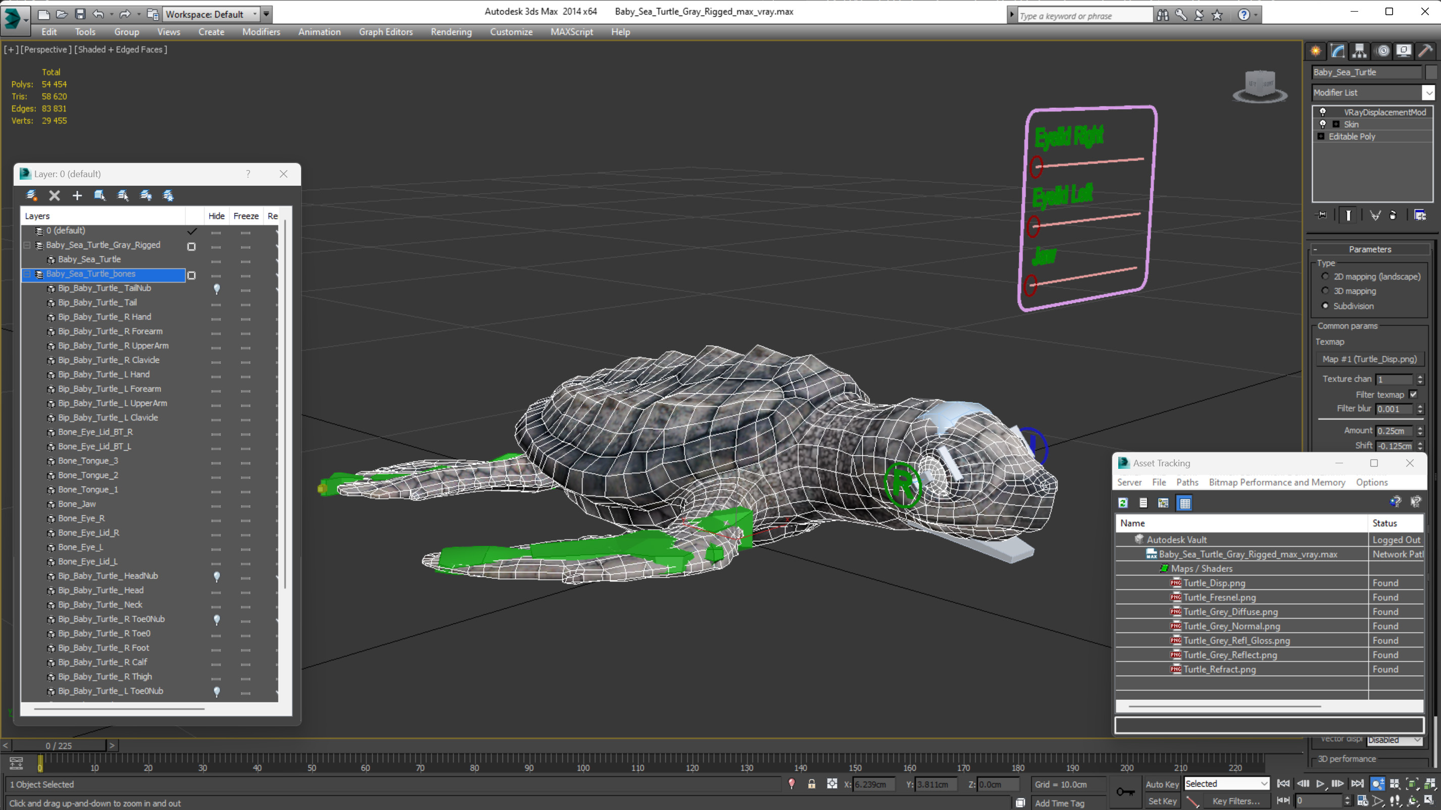Baby Sea Turtle Gray Rigged 3D