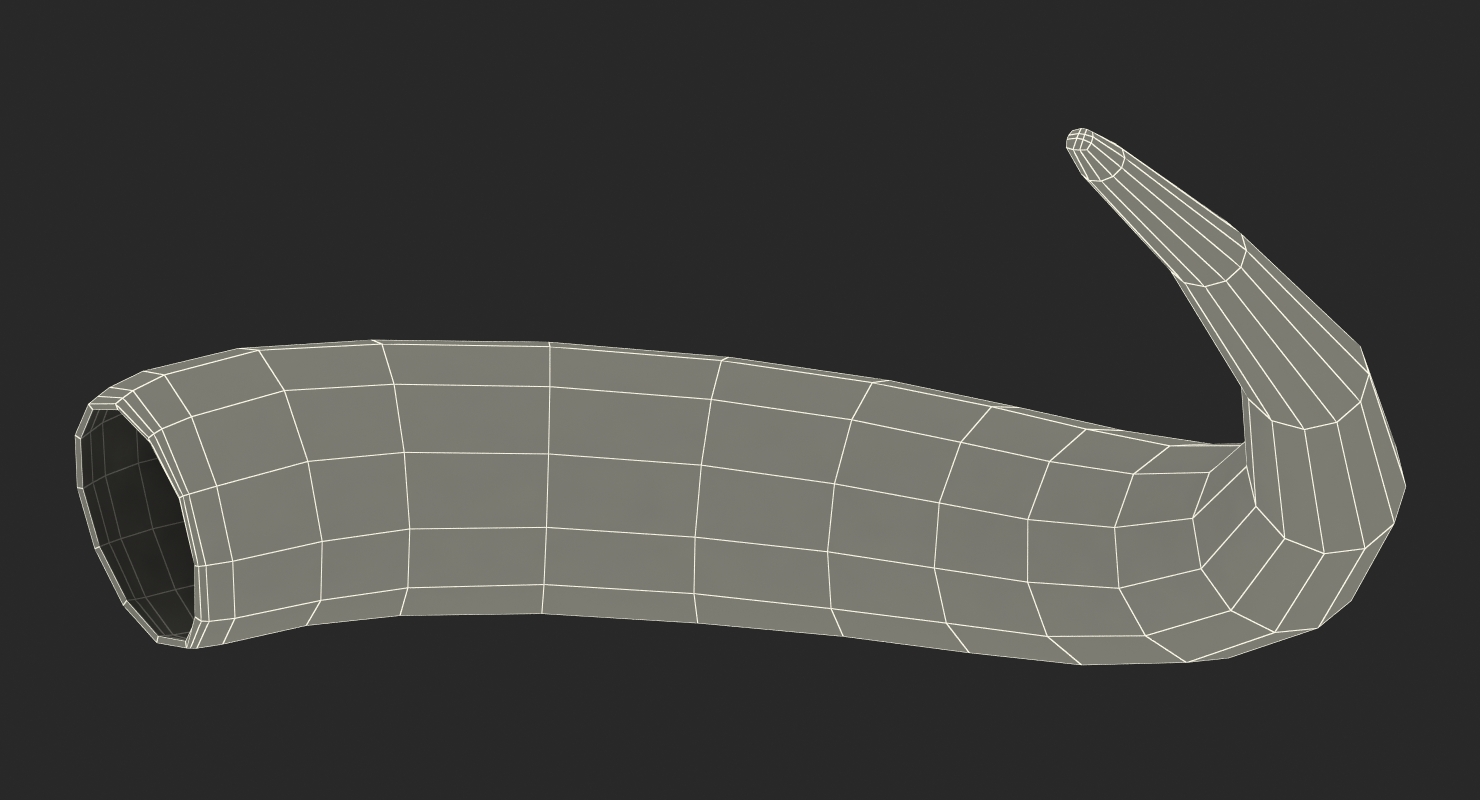 3D model Bulls Horn
