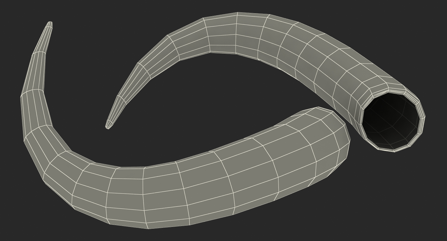 3D model Bulls Horn