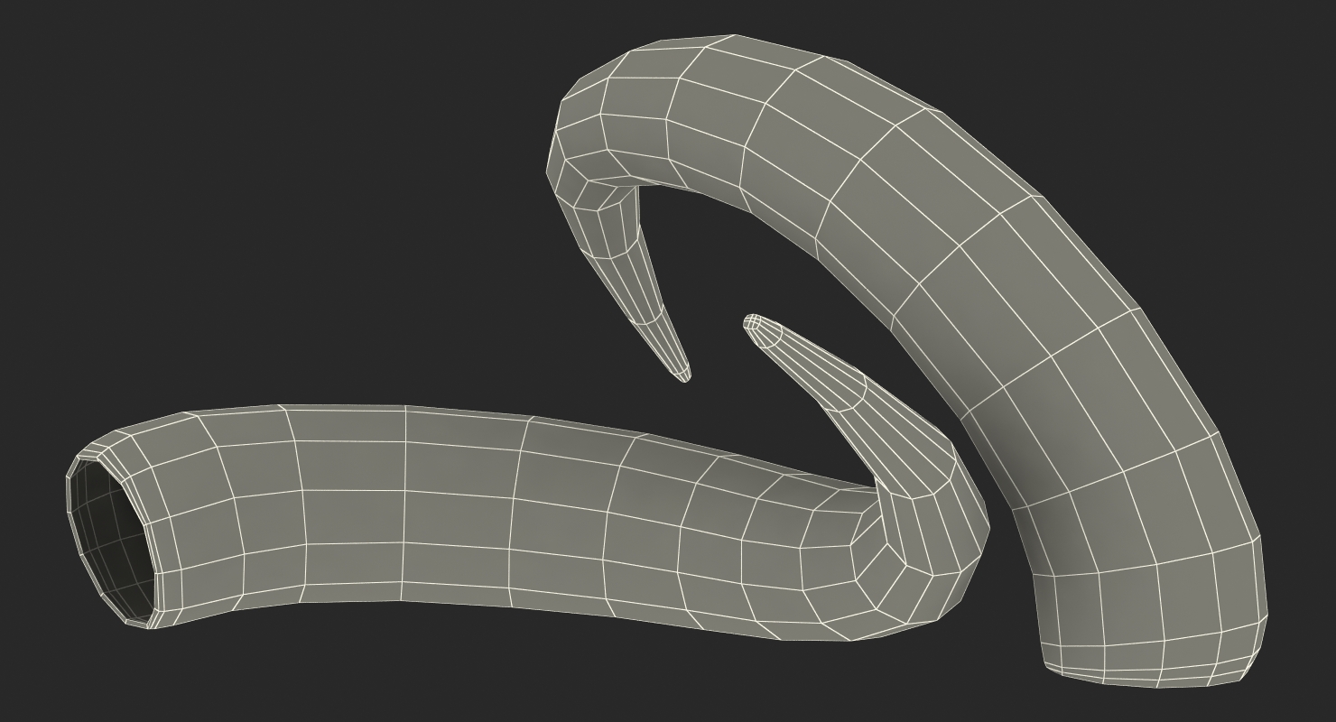 3D model Bulls Horn