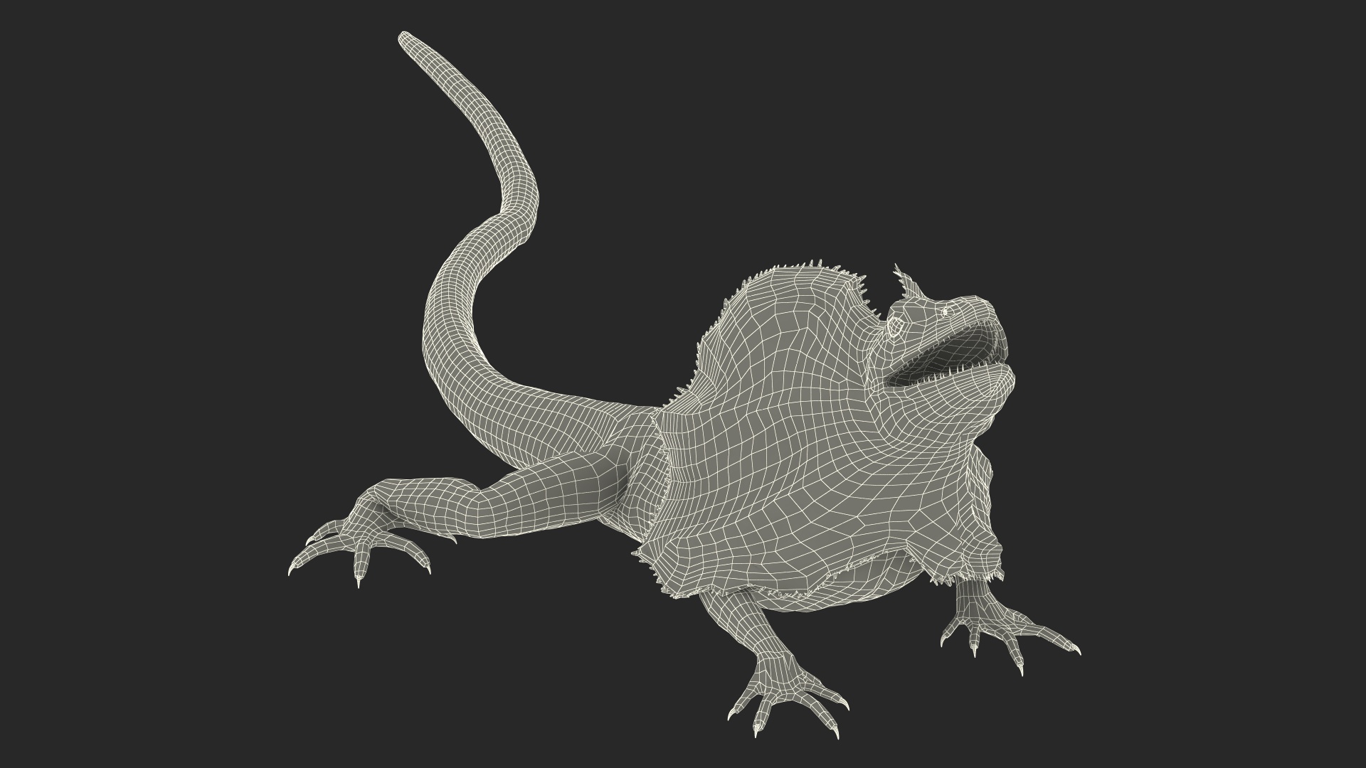 3D Frilled Dragon Crawling Pose model