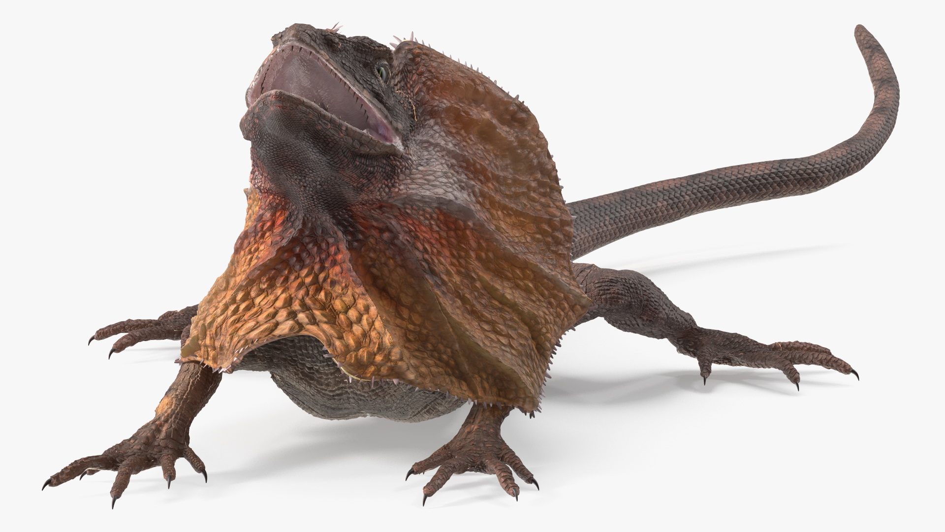 3D Frilled Dragon Crawling Pose model