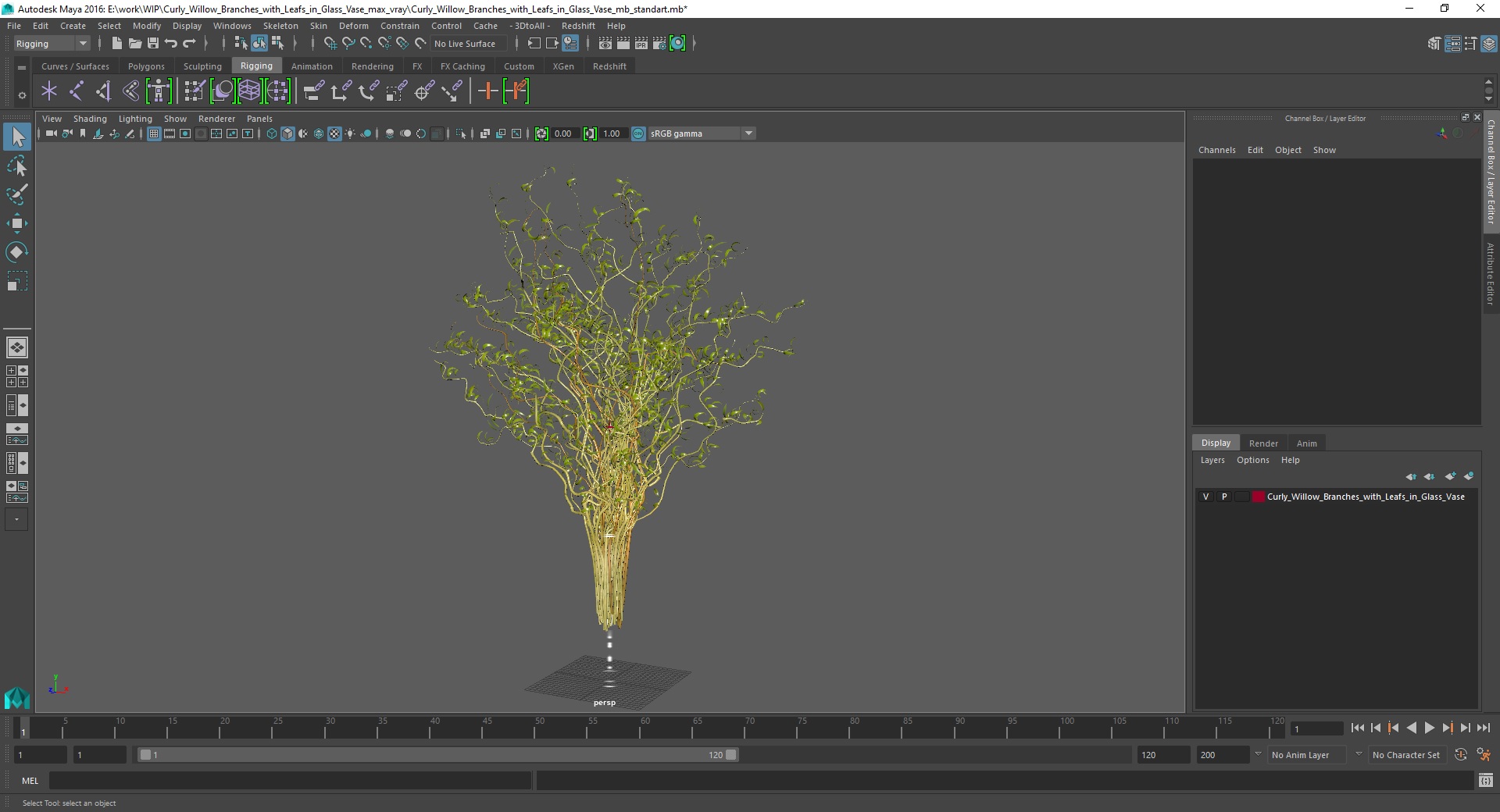 3D Curly Willow Branches with Leafs in Glass Vase