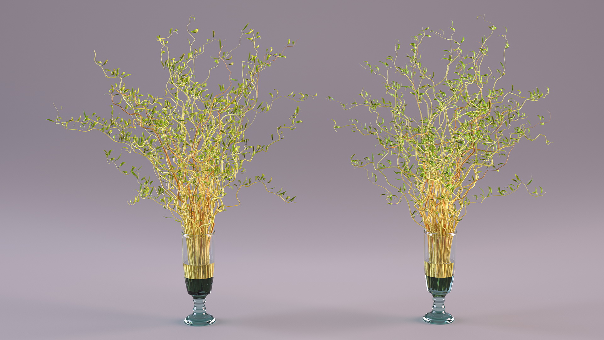 3D Curly Willow Branches with Leafs in Glass Vase