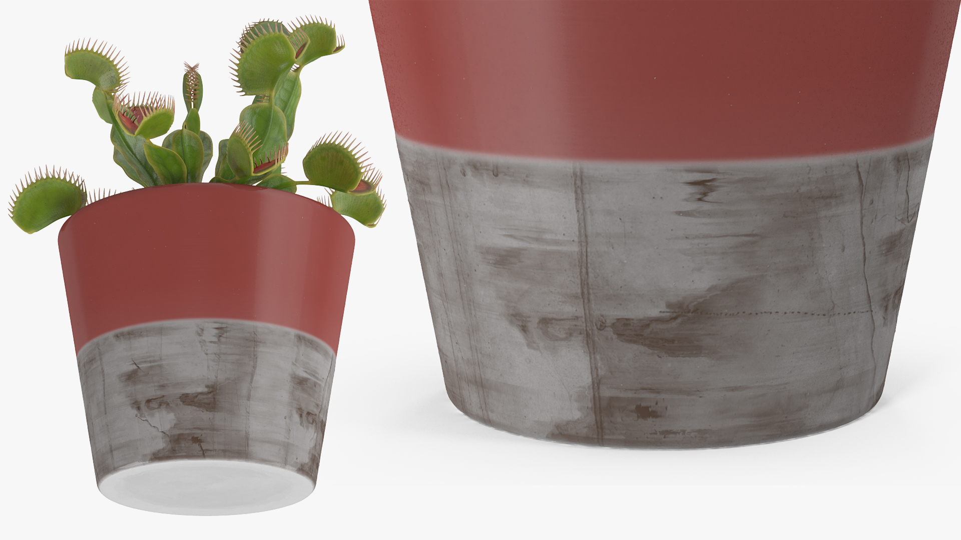 3D Venus Flytrap in Plant Pot
