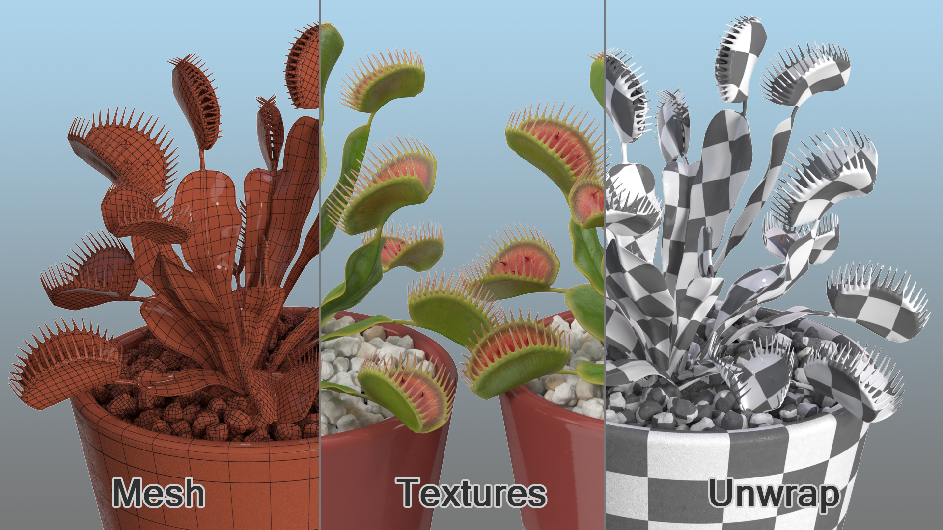 3D Venus Flytrap in Plant Pot