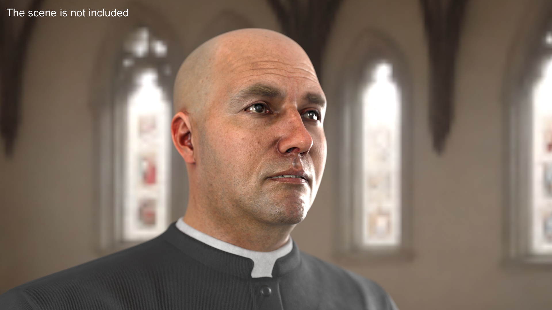 3D model Realistic Adult Male Bald Head