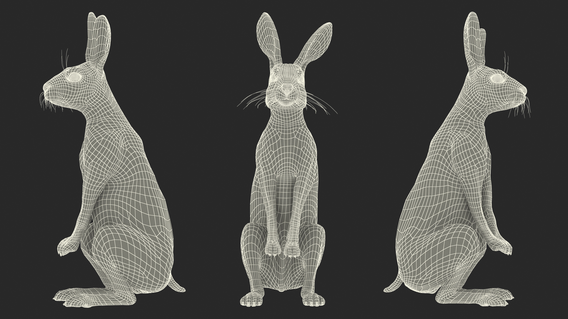3D Hare Standing Pose model