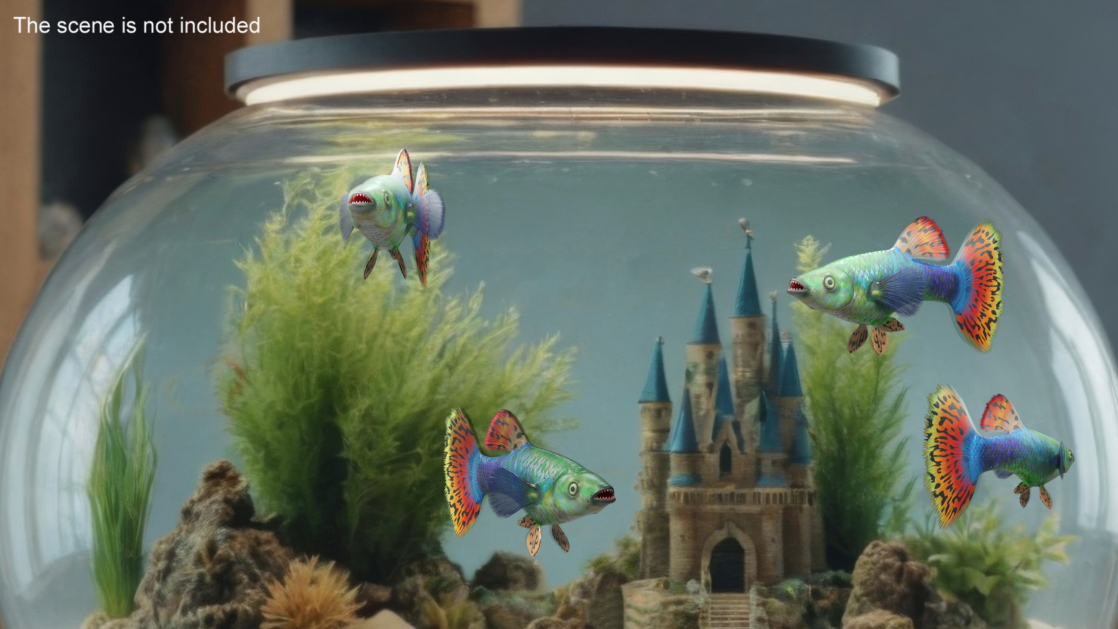 3D Guppy Fish Red Dragon