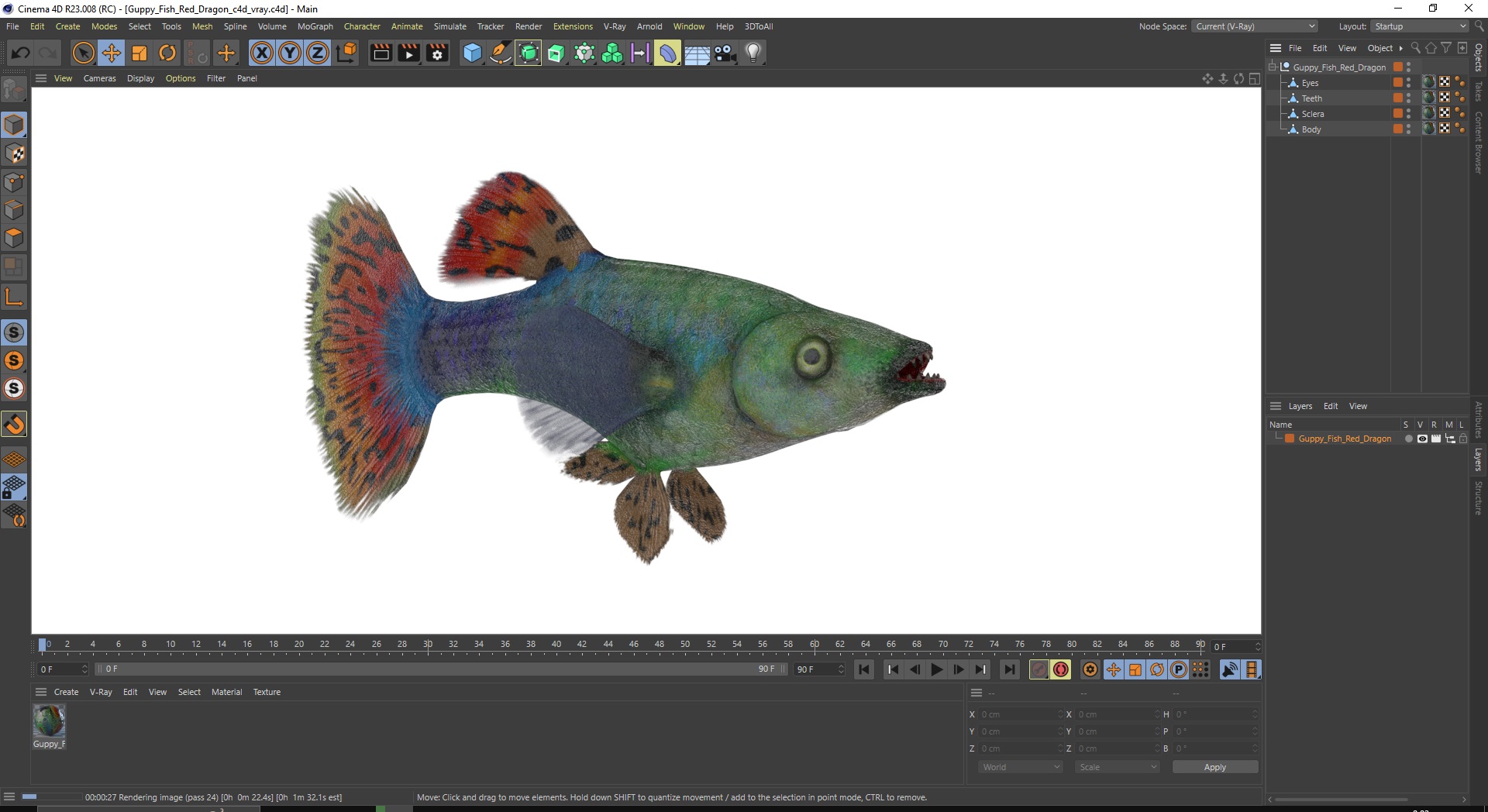 3D Guppy Fish Red Dragon