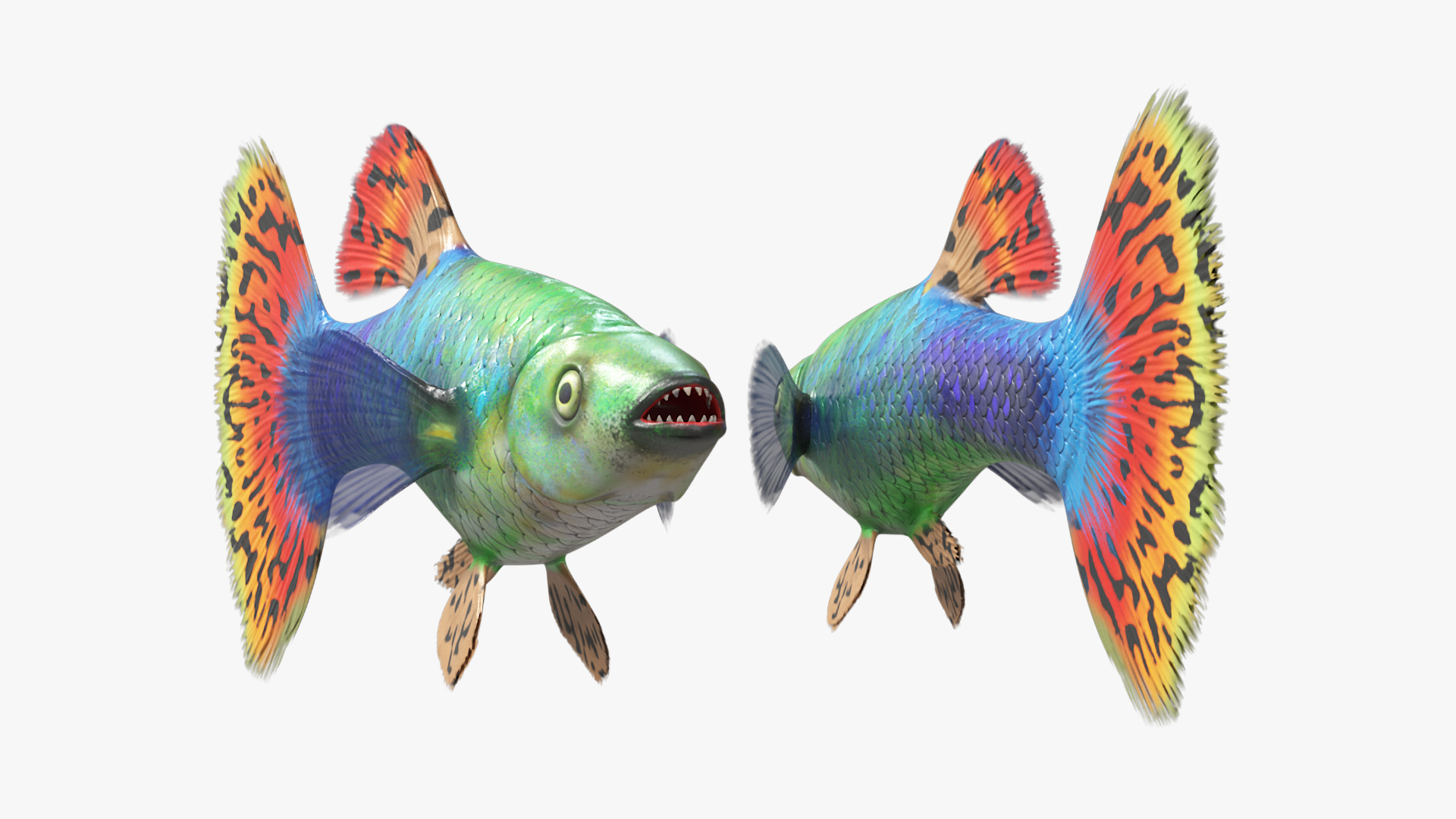 3D Guppy Fish Red Dragon