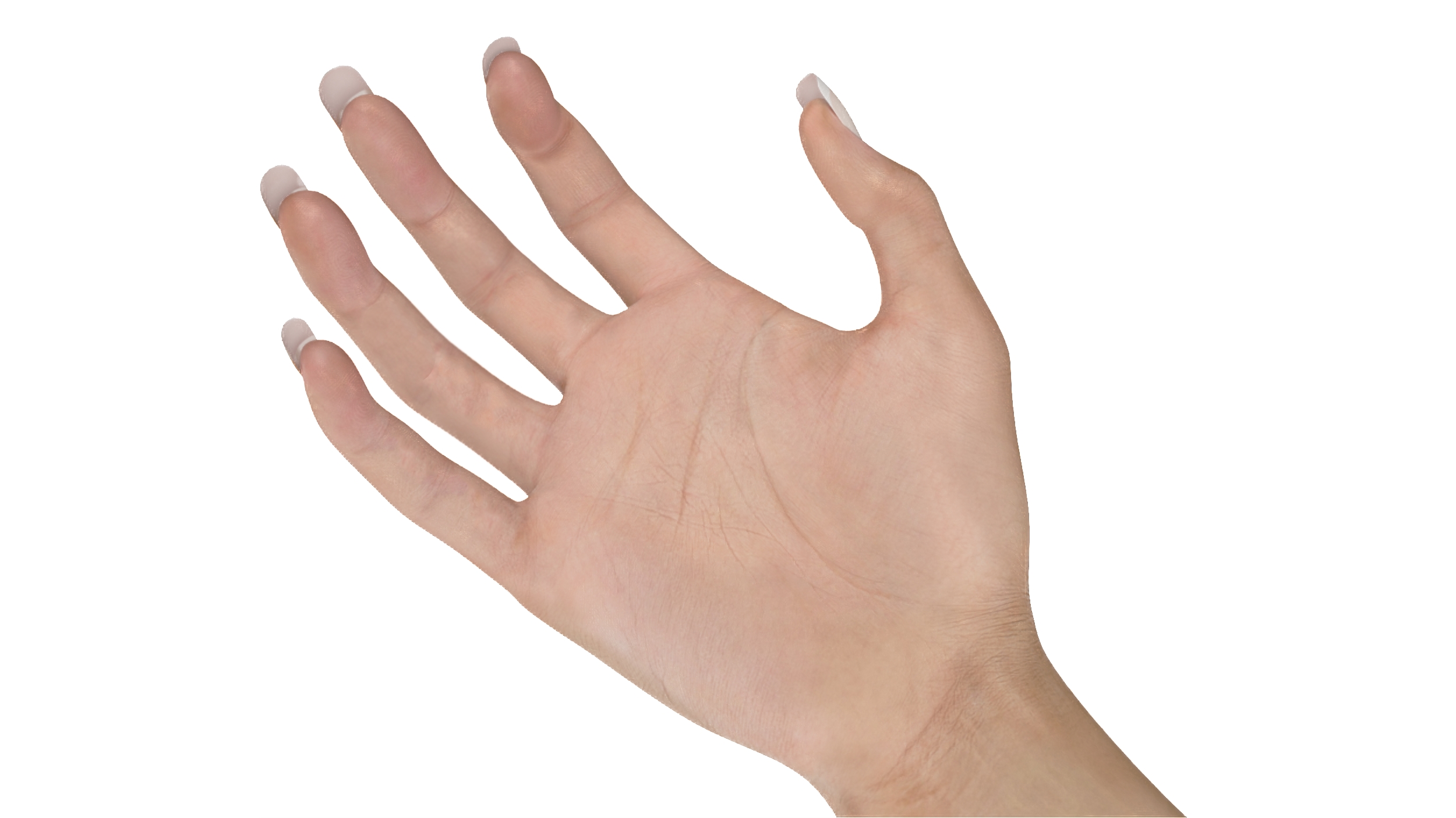 3D model European Woman Hand Rigged for Cinema 4D